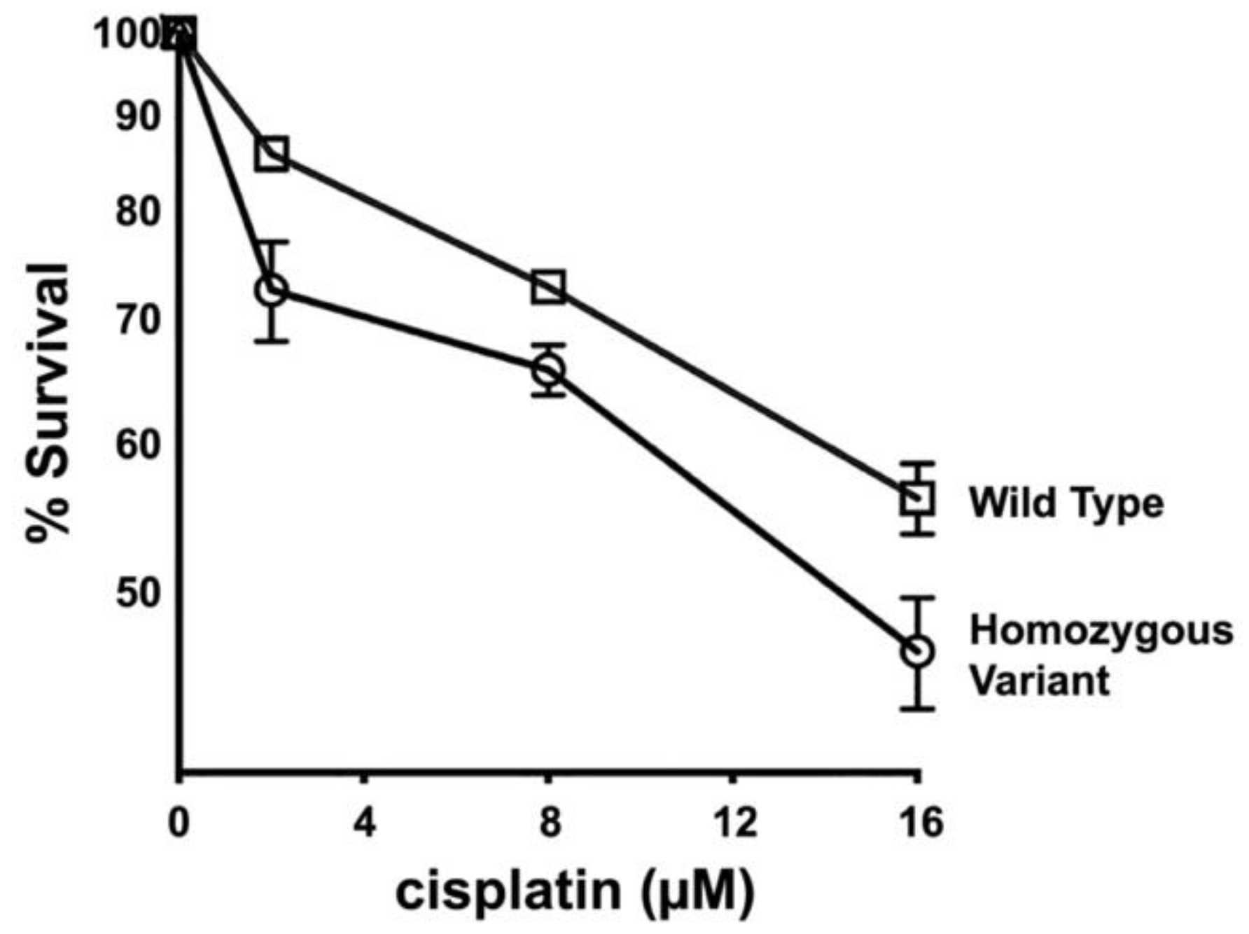 Genes 13 01693 g005 Genes 13 01693 g005