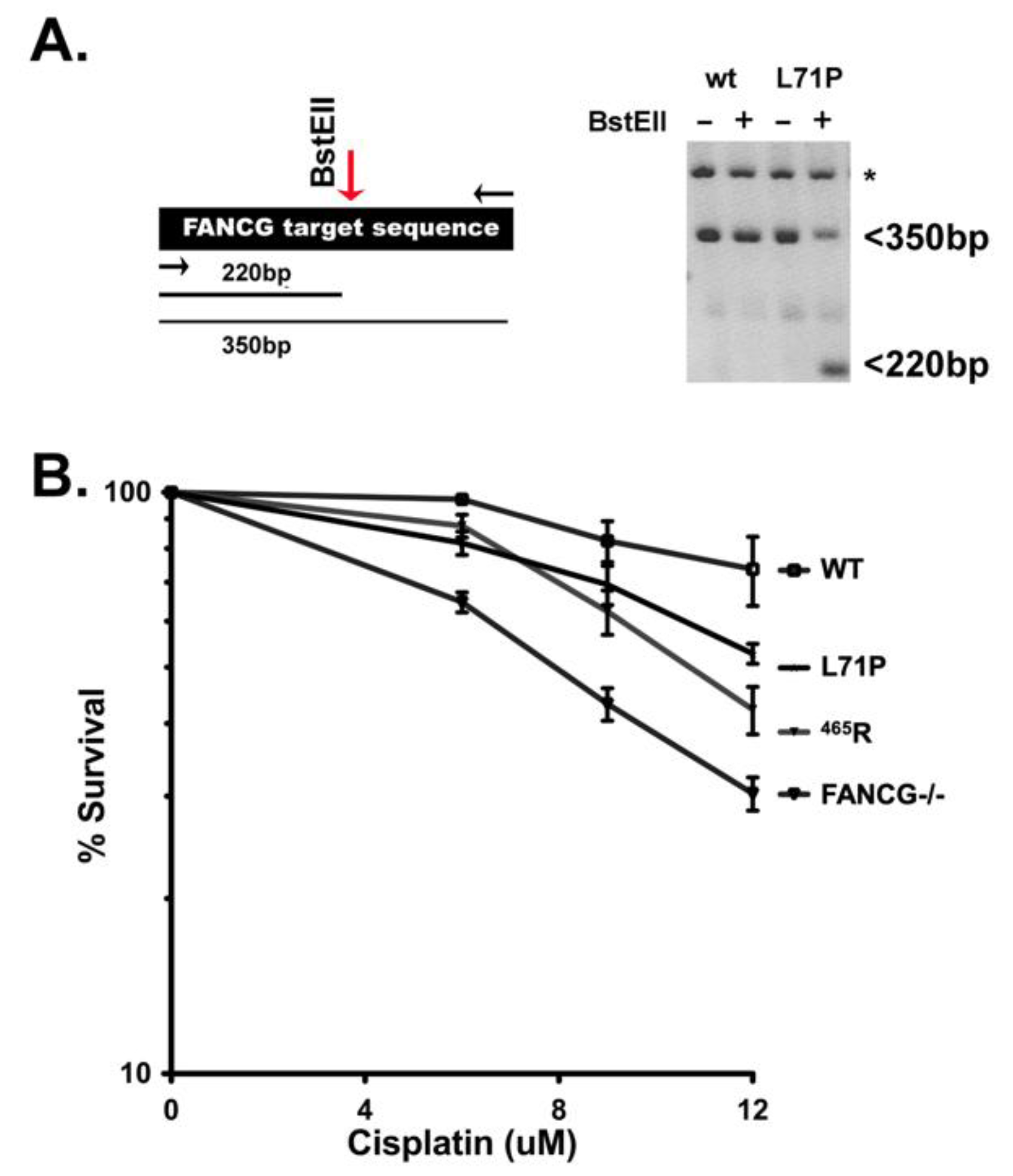 Genes 13 01693 g007 Genes 13 01693 g007