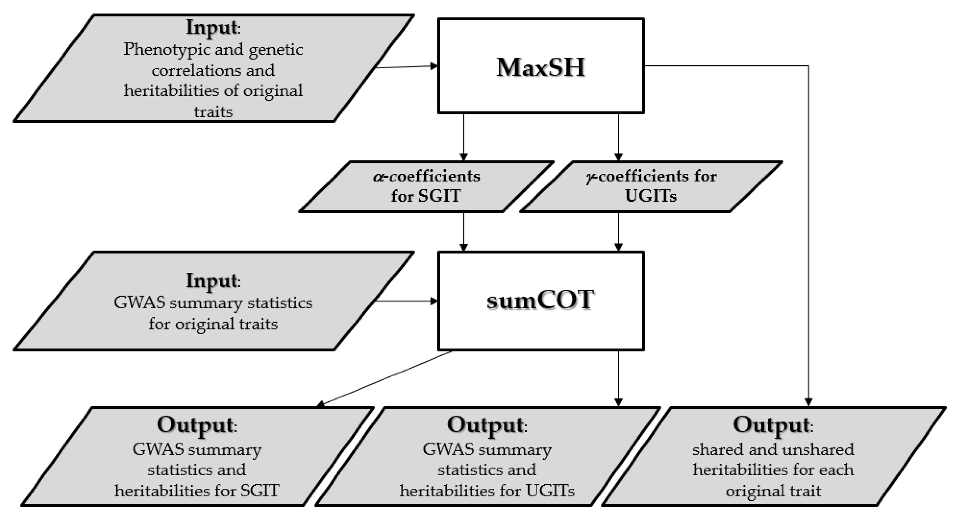 Genes 13 01694 g001 Genes 13 01694 g001