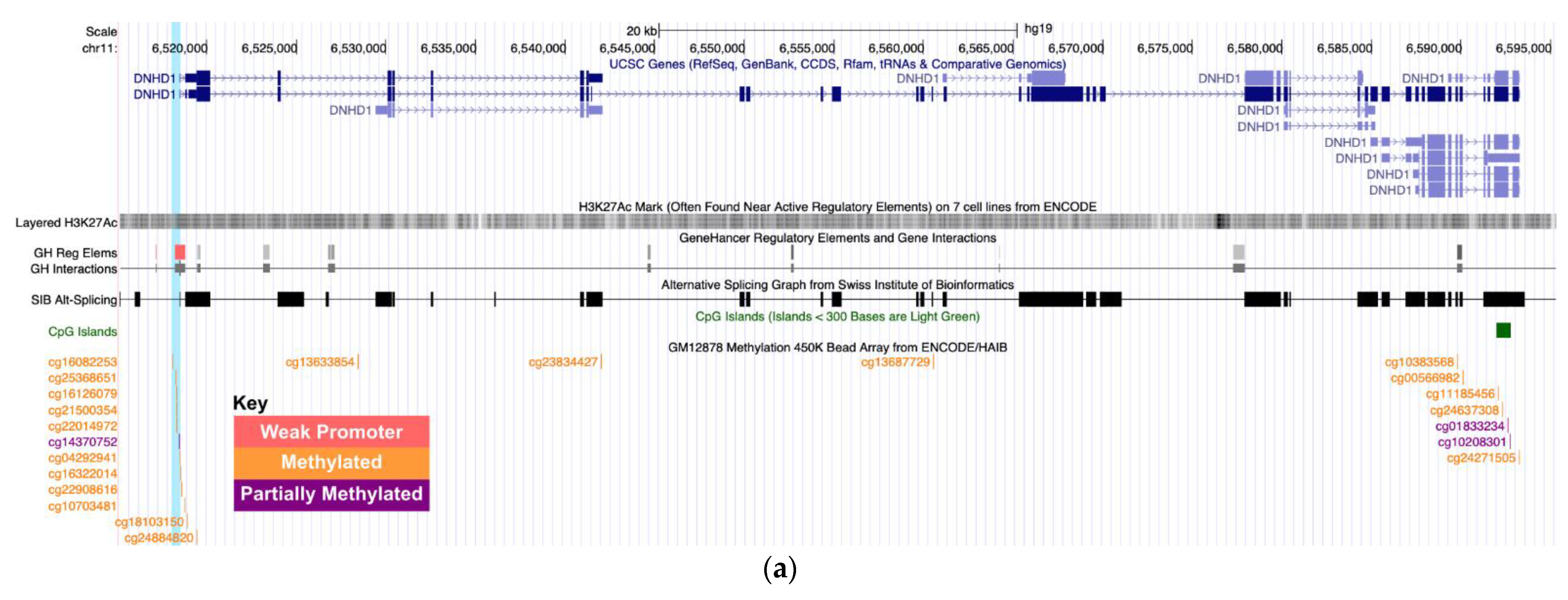 Genes 13 01700 g001a