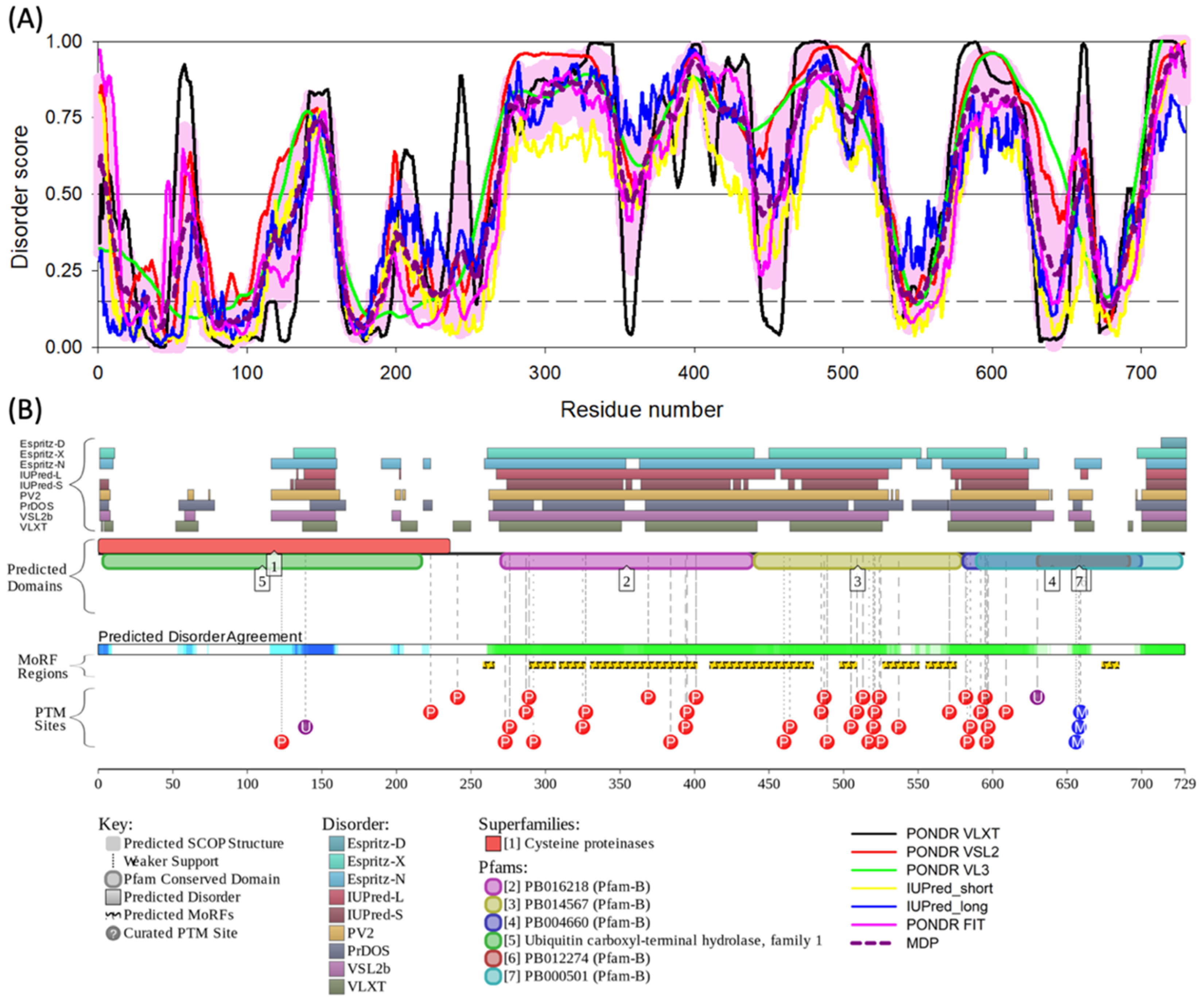 Genes 13 01703 g003 Genes 13 01703 g003
