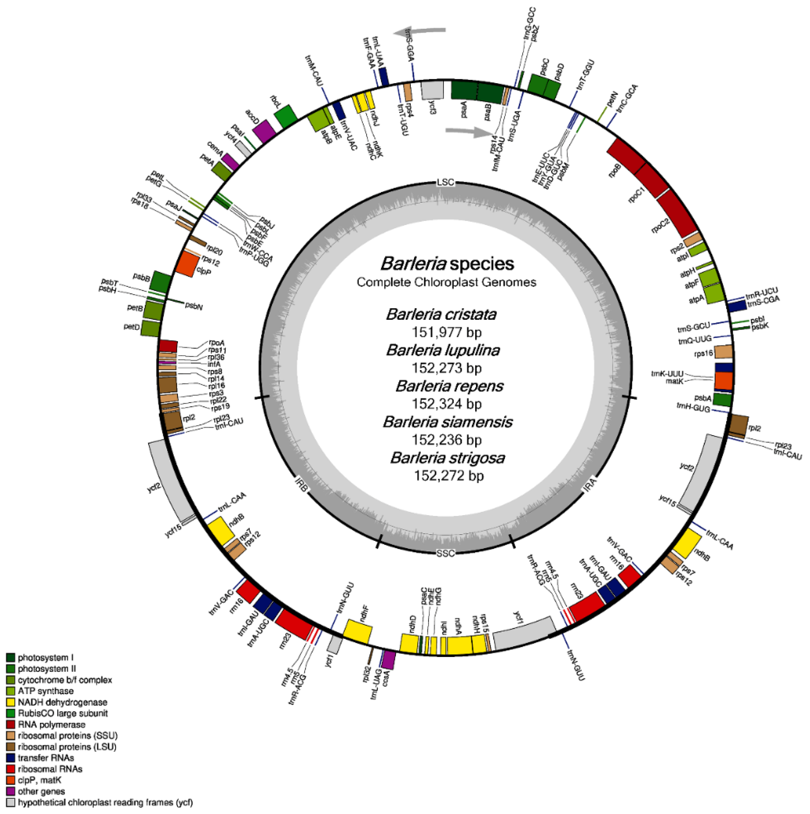 Genes 13 01705 g001 Genes 13 01705 g001