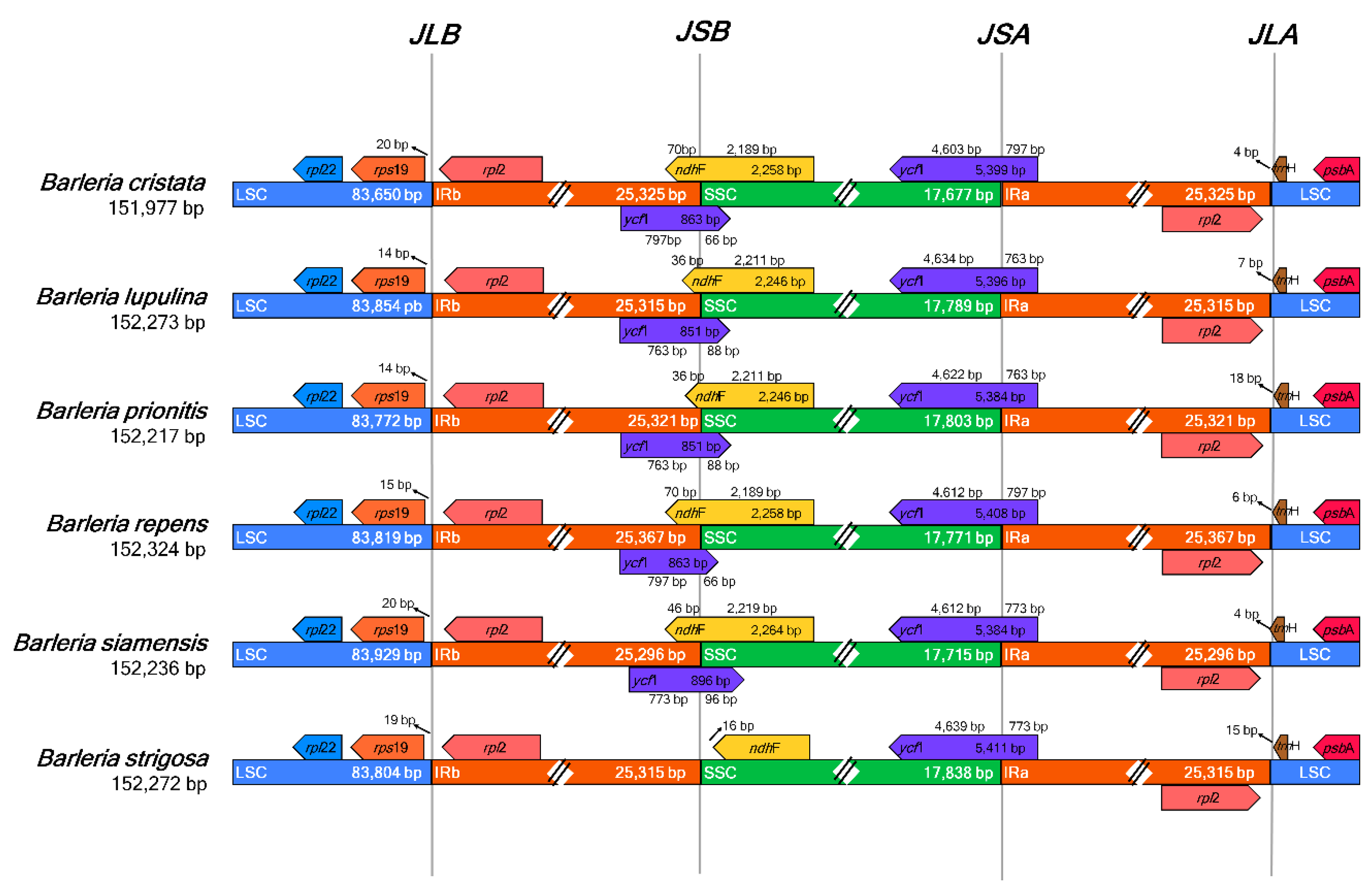 Genes 13 01705 g003 Genes 13 01705 g003