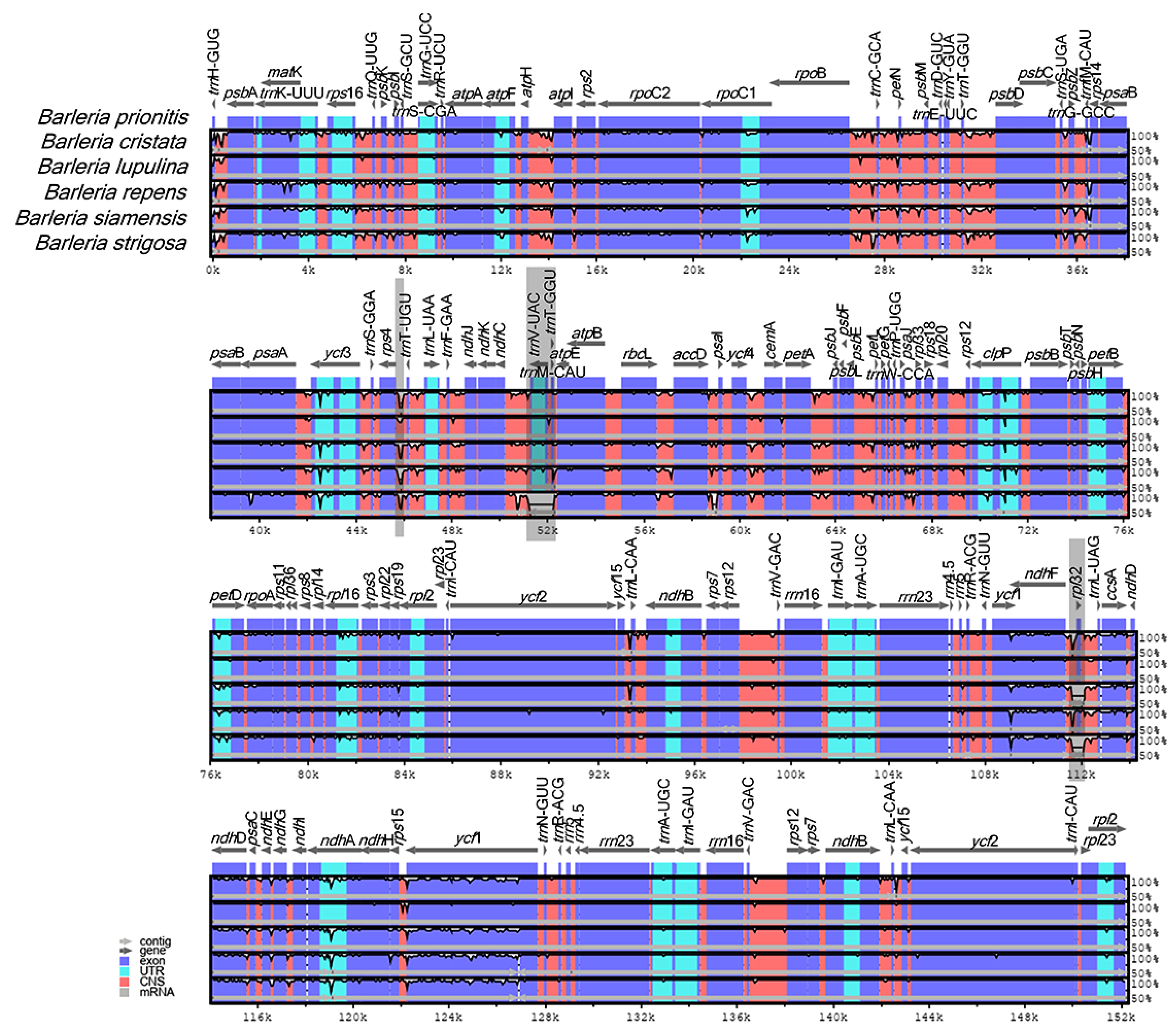 Genes 13 01705 g004 Genes 13 01705 g004