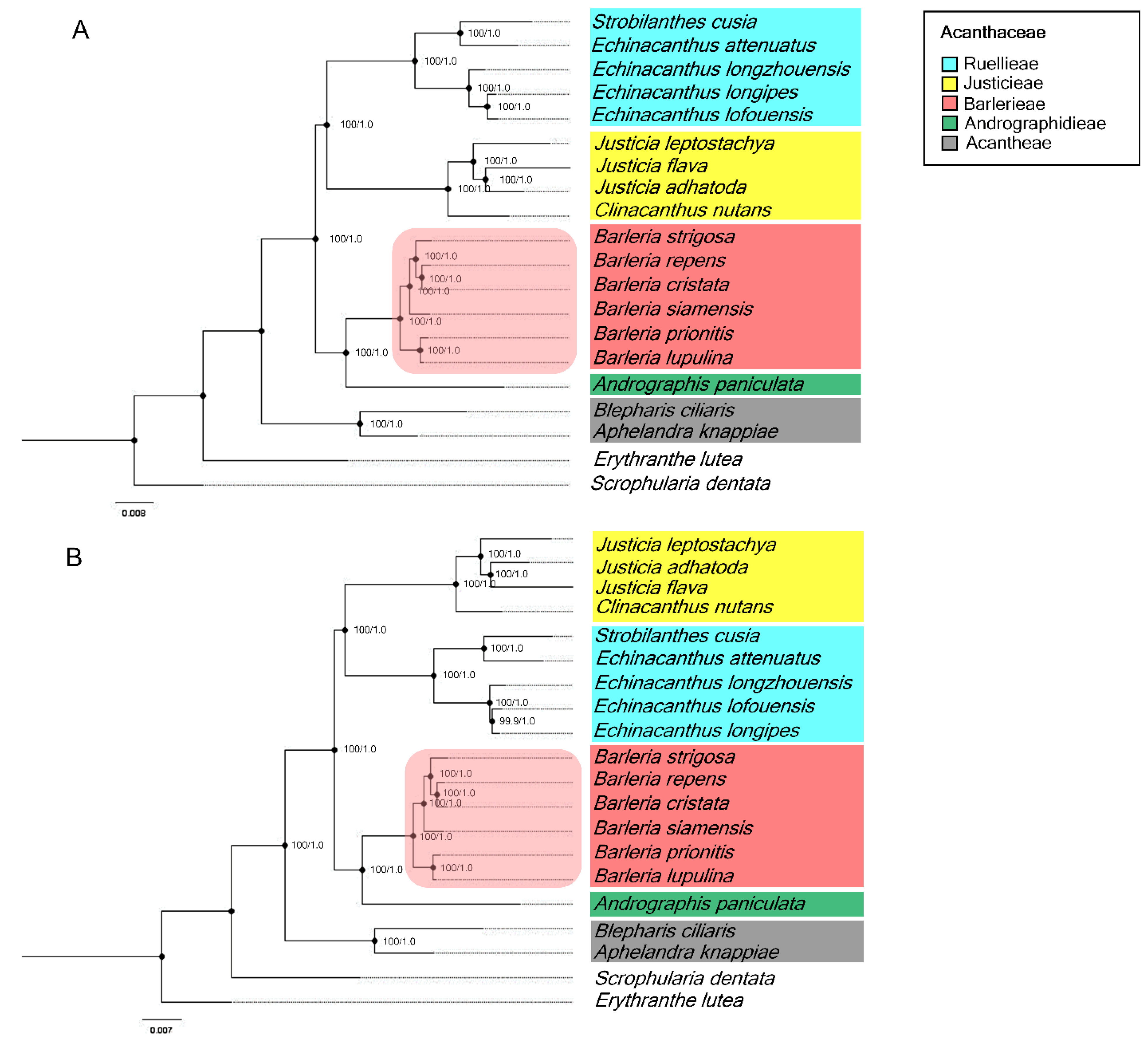 Genes 13 01705 g006 Genes 13 01705 g006