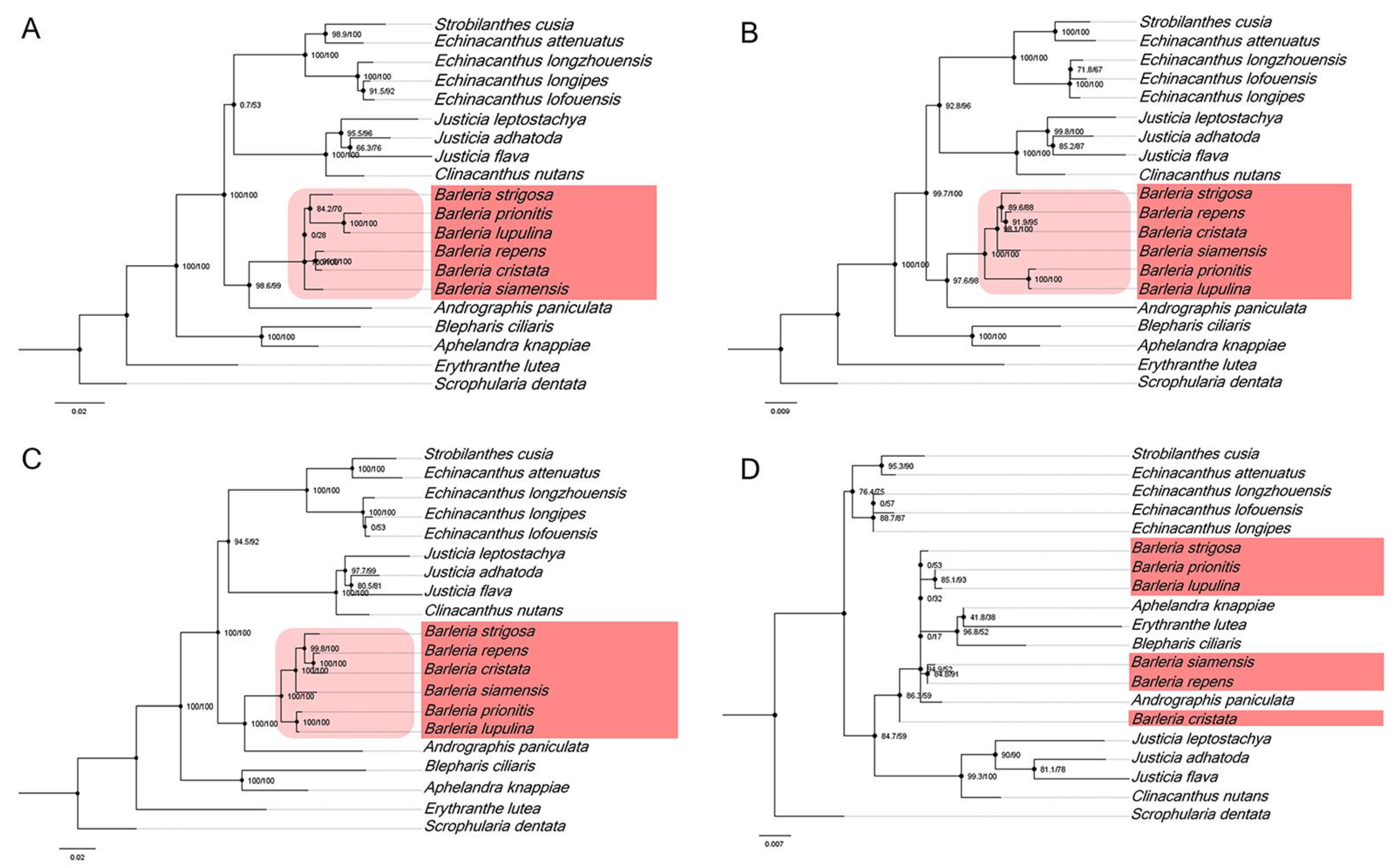 Genes 13 01705 g007 Genes 13 01705 g007