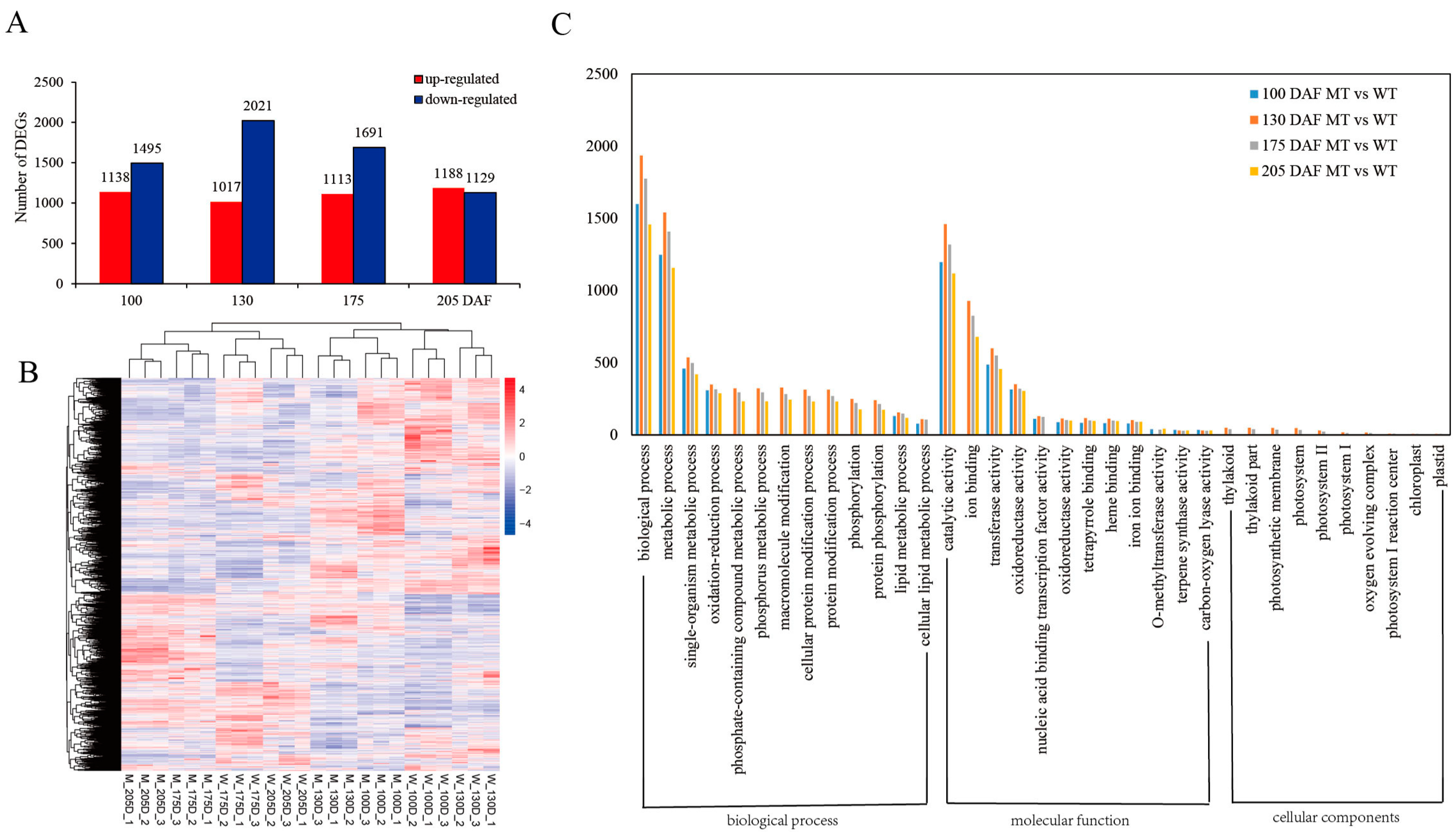 Genes 13 01706 g002 Genes 13 01706 g002
