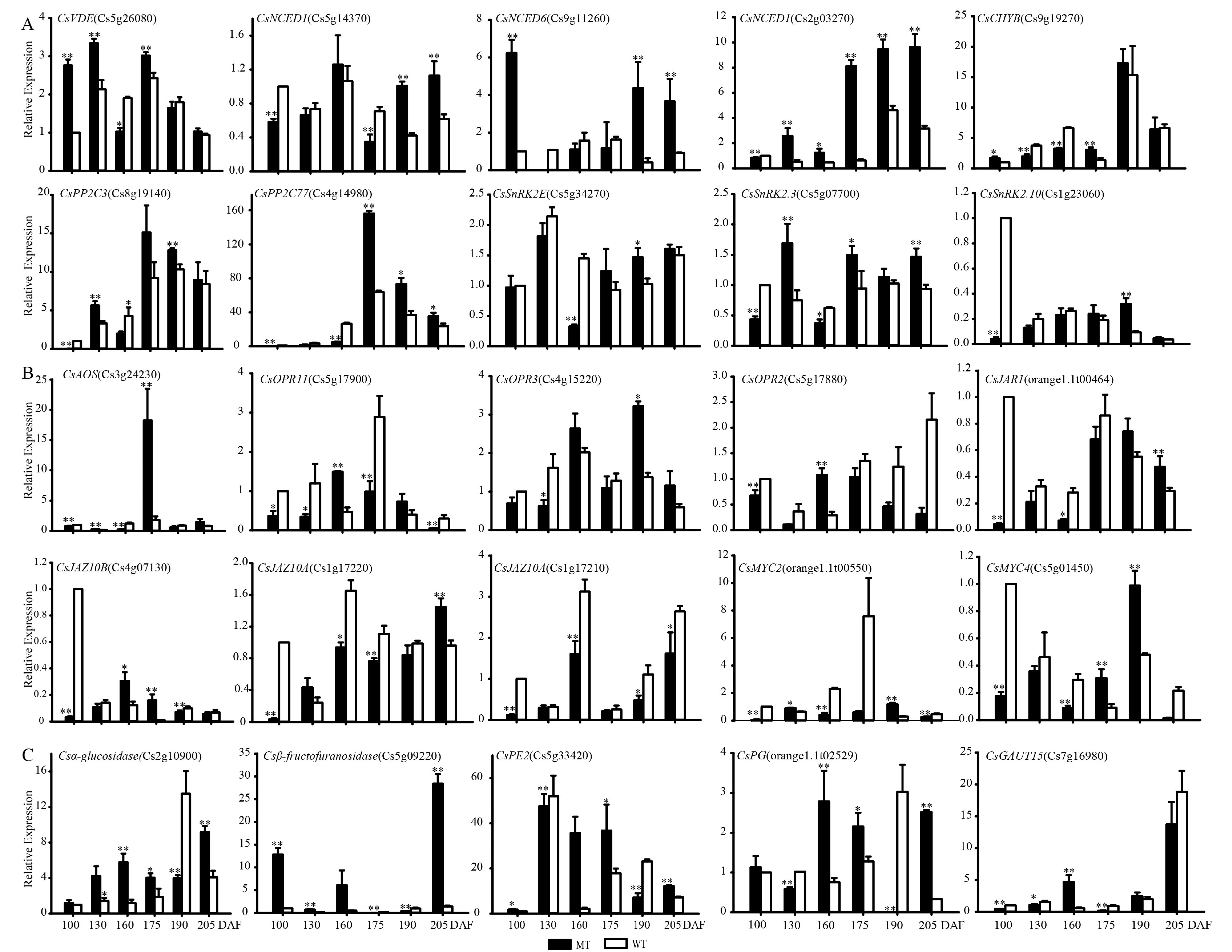 Genes 13 01706 g004 Genes 13 01706 g004