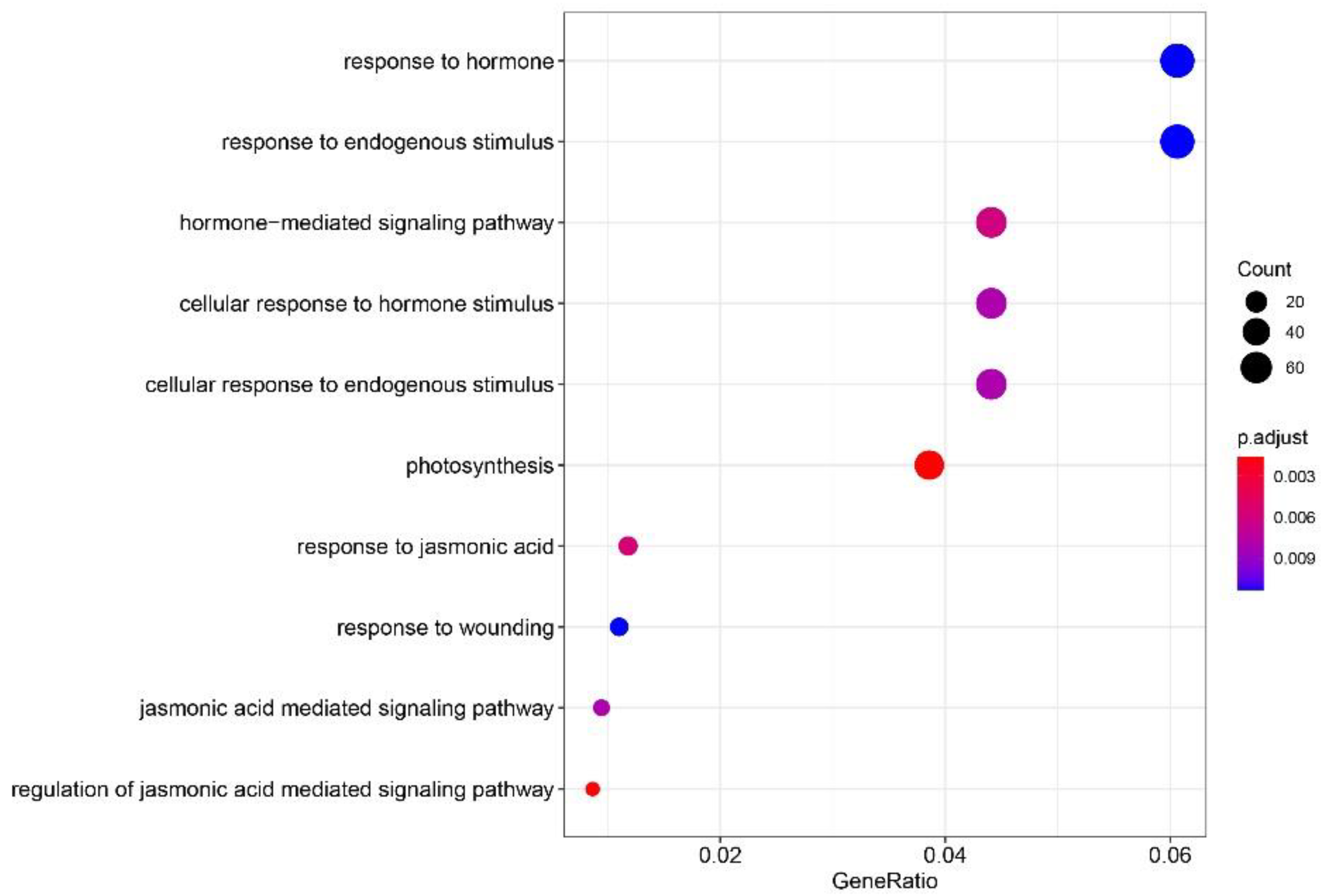 Genes 13 01713 g004 Genes 13 01713 g004