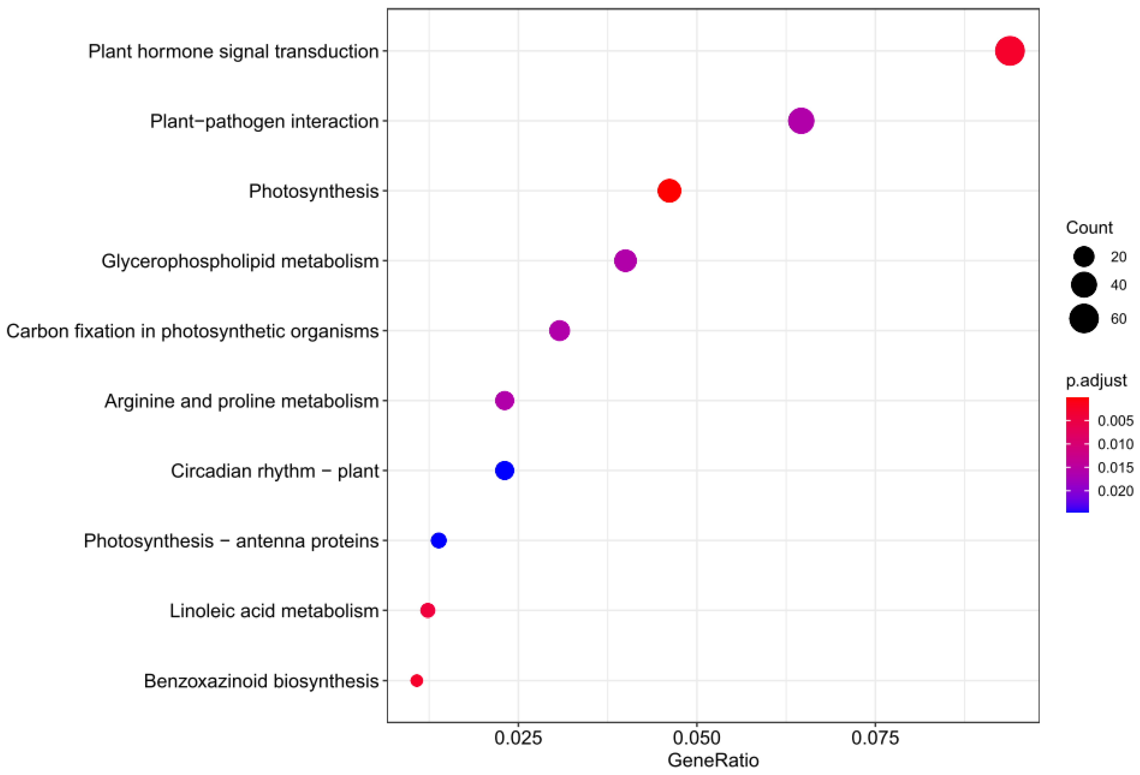 Genes 13 01713 g005 Genes 13 01713 g005