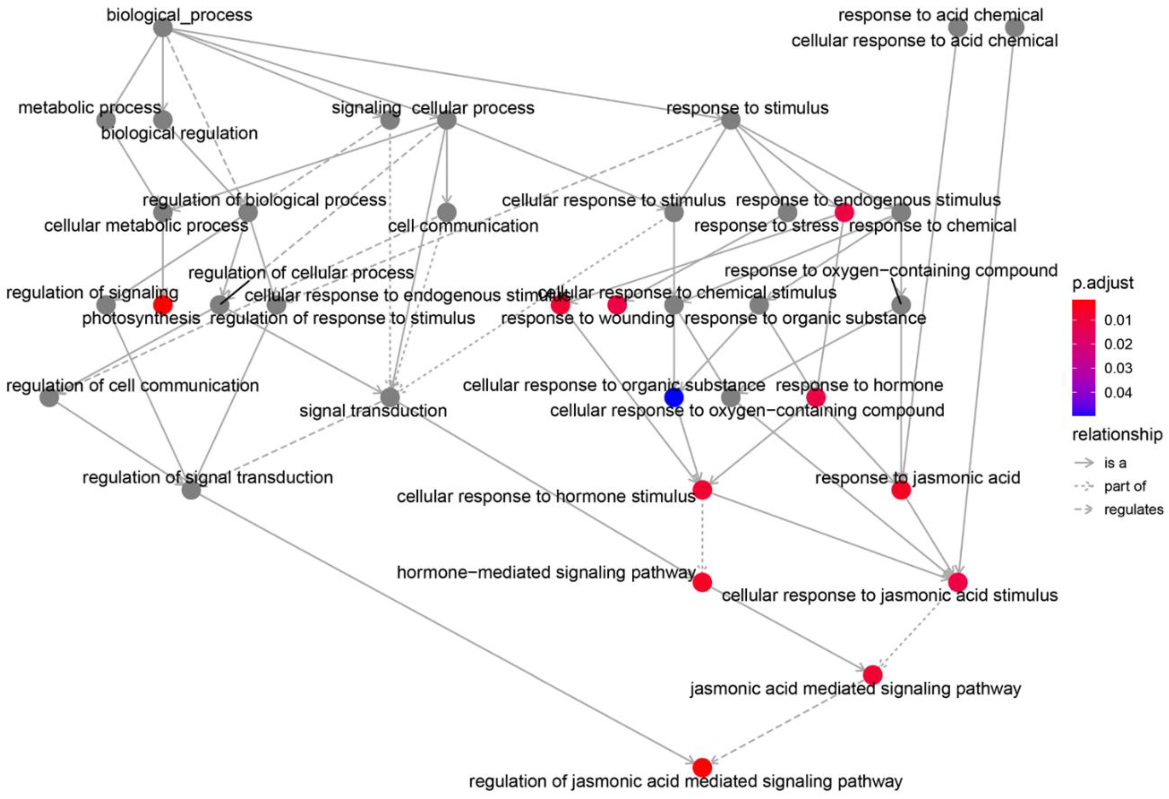 Genes 13 01713 g006 Genes 13 01713 g006