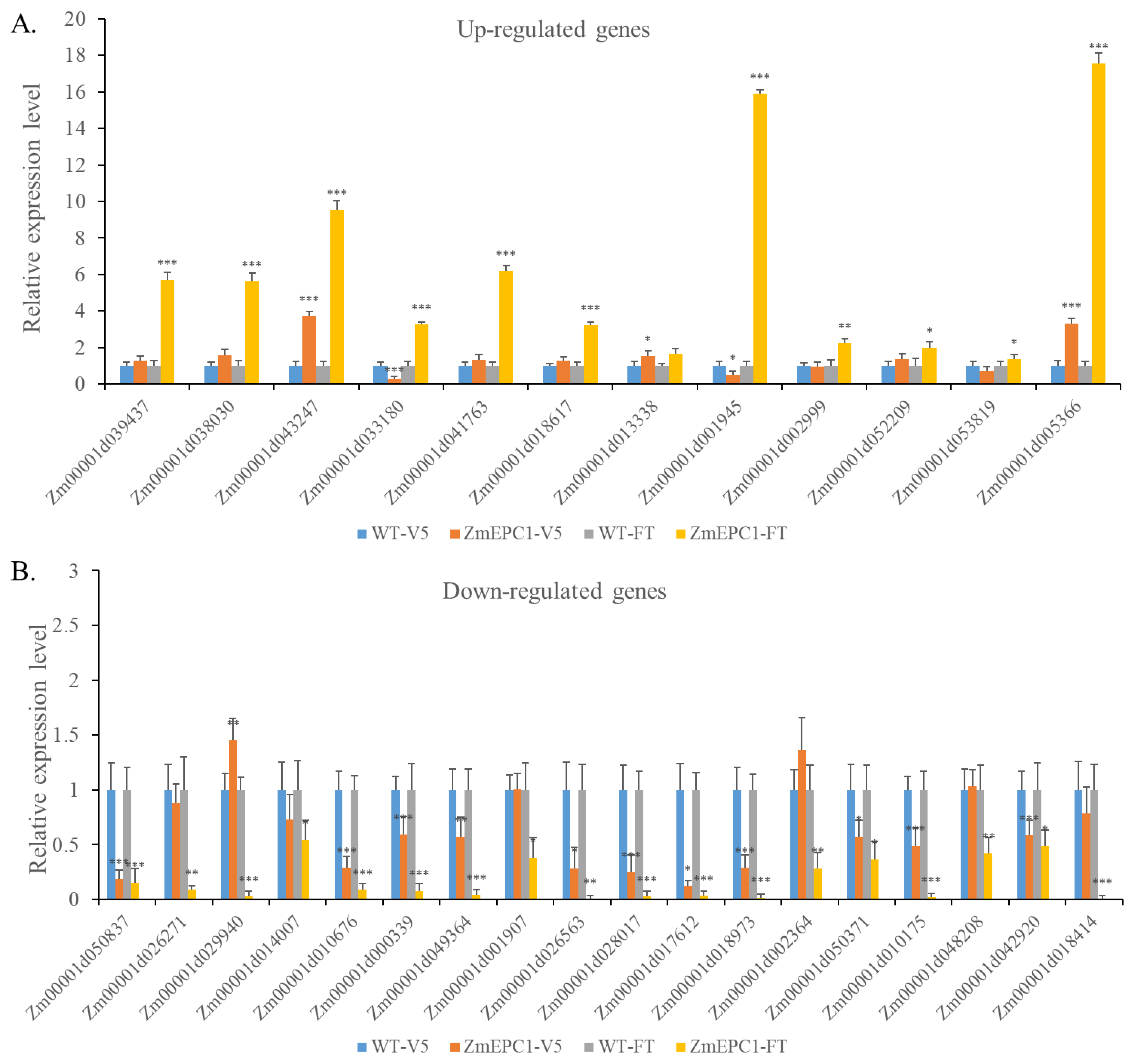 Genes 13 01713 g007 Genes 13 01713 g007