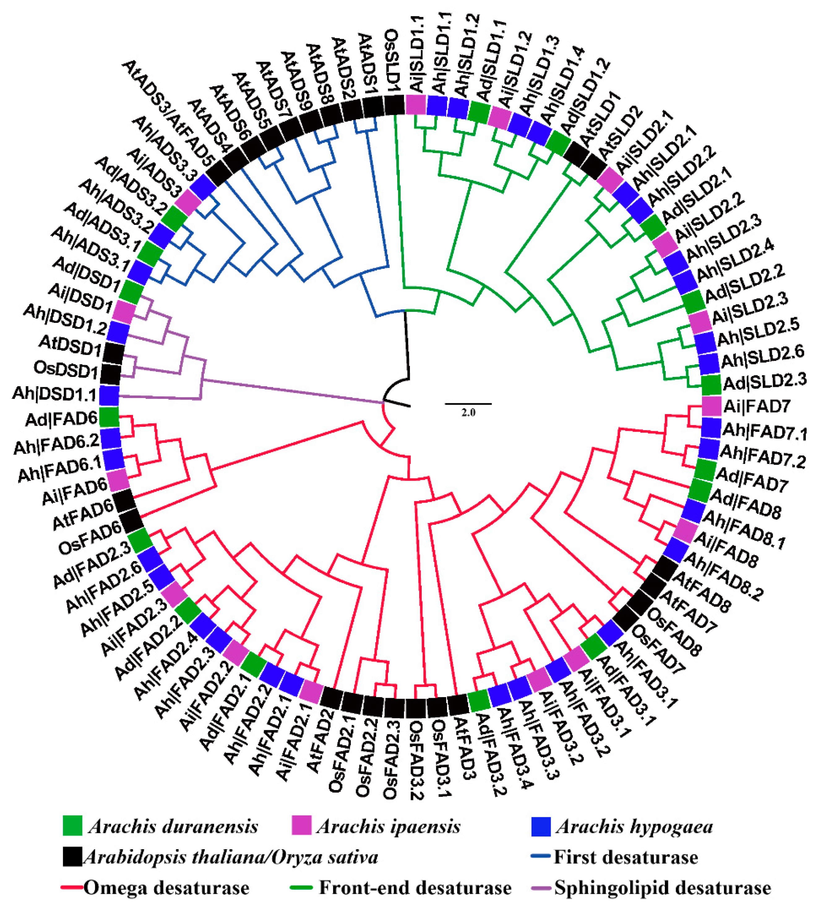 Genes 13 01718 g001 Genes 13 01718 g001