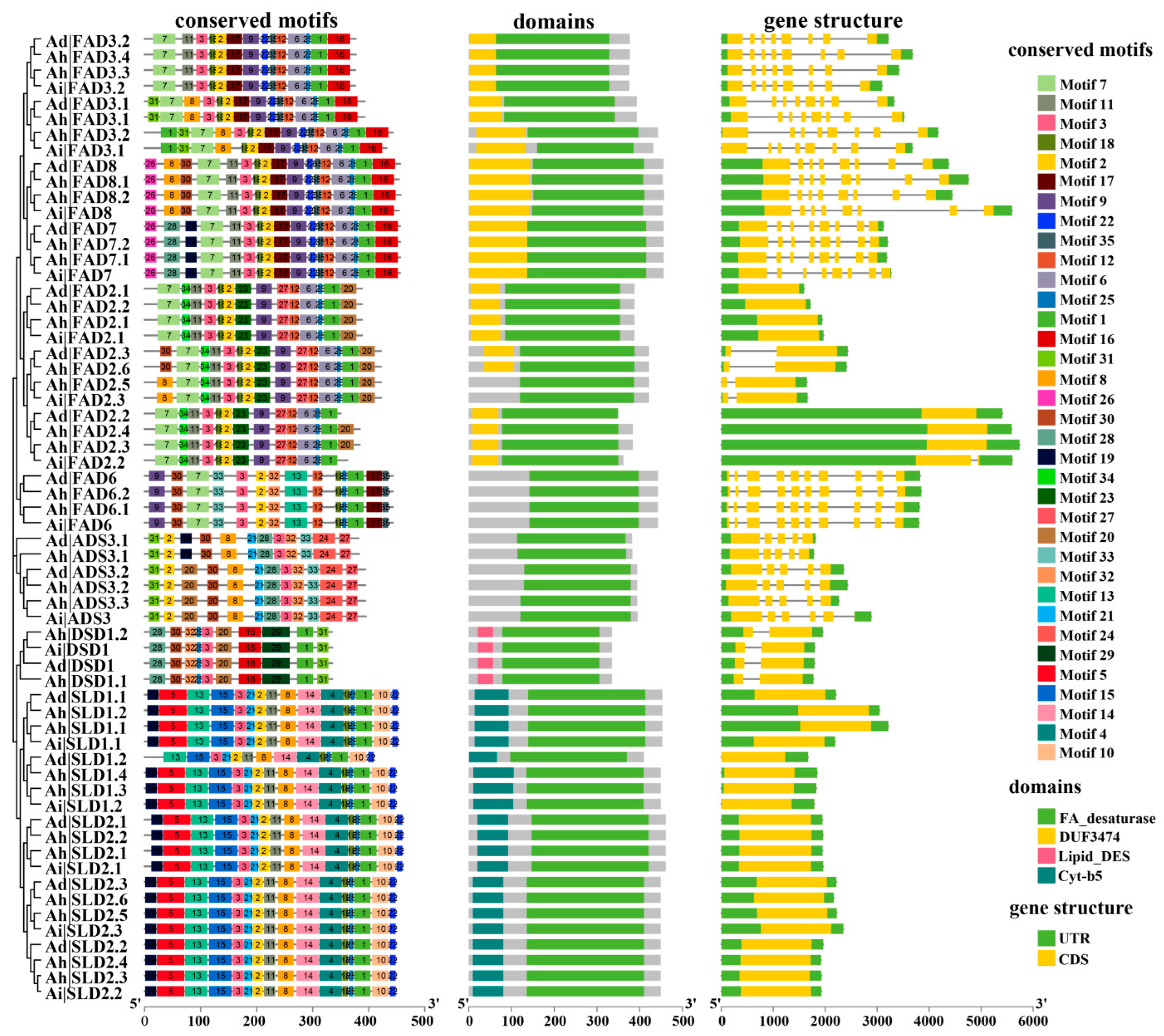 Genes 13 01718 g002 Genes 13 01718 g002