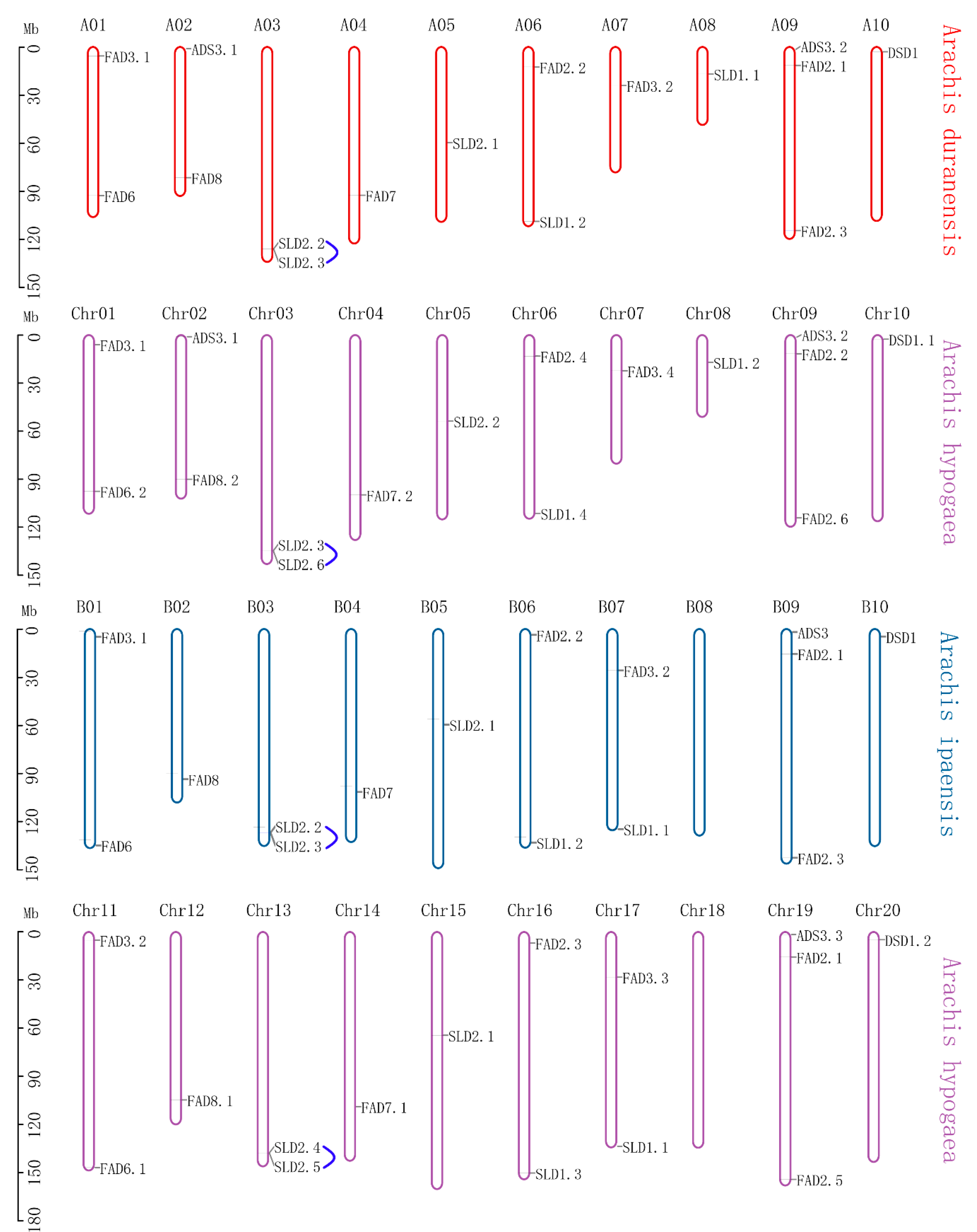 Genes 13 01718 g003 Genes 13 01718 g003