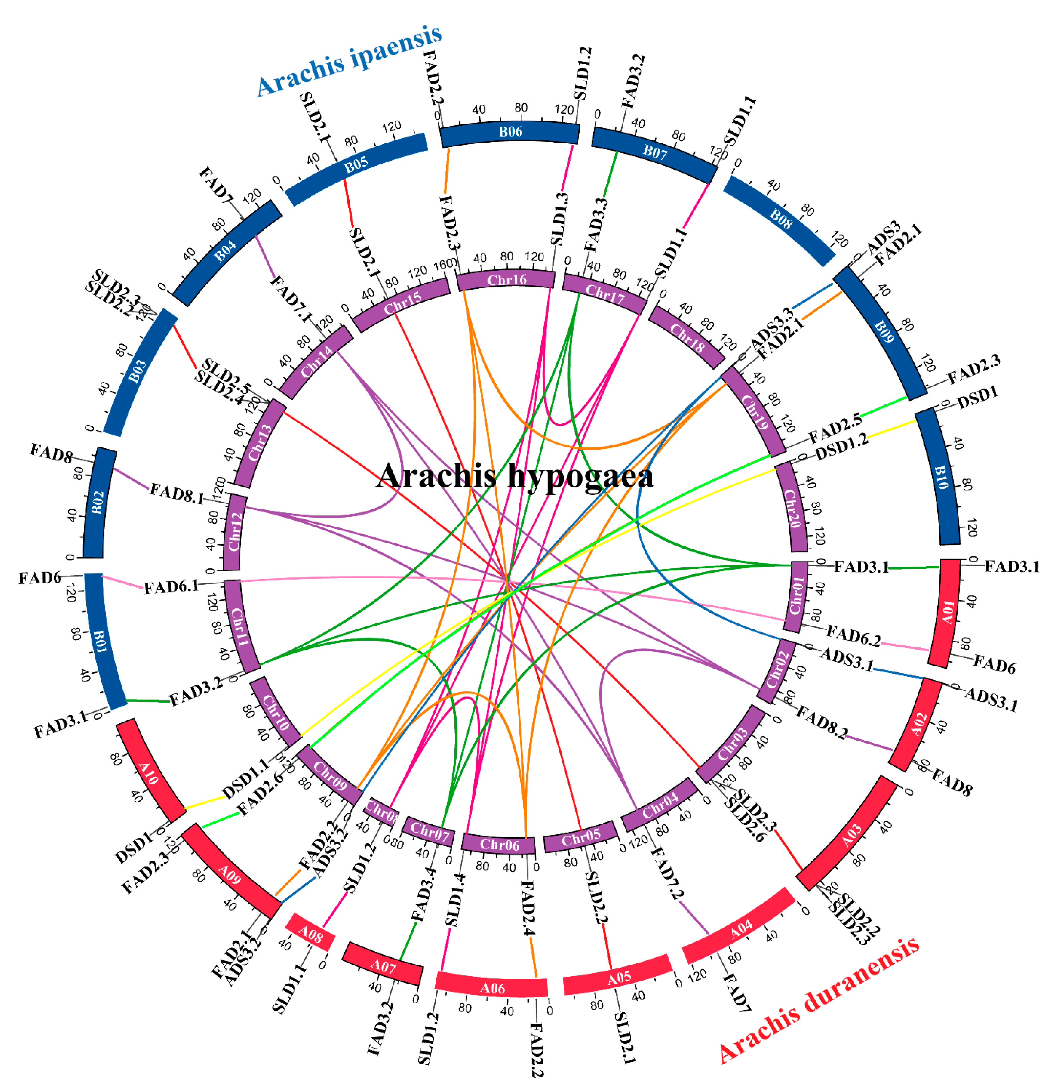 Genes 13 01718 g004 Genes 13 01718 g004