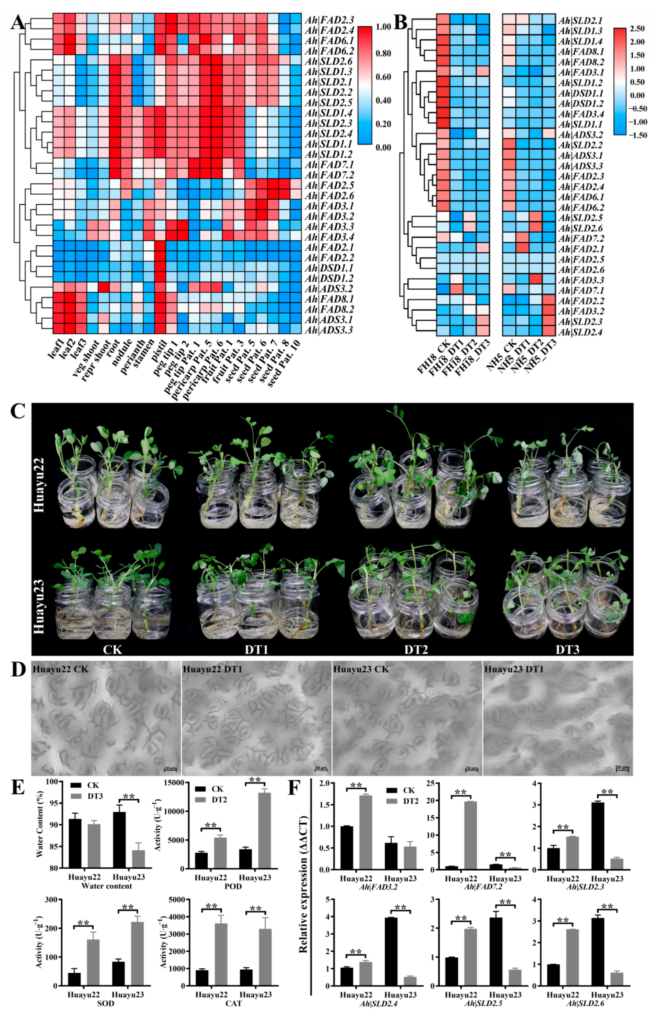 Genes 13 01718 g006 Genes 13 01718 g006
