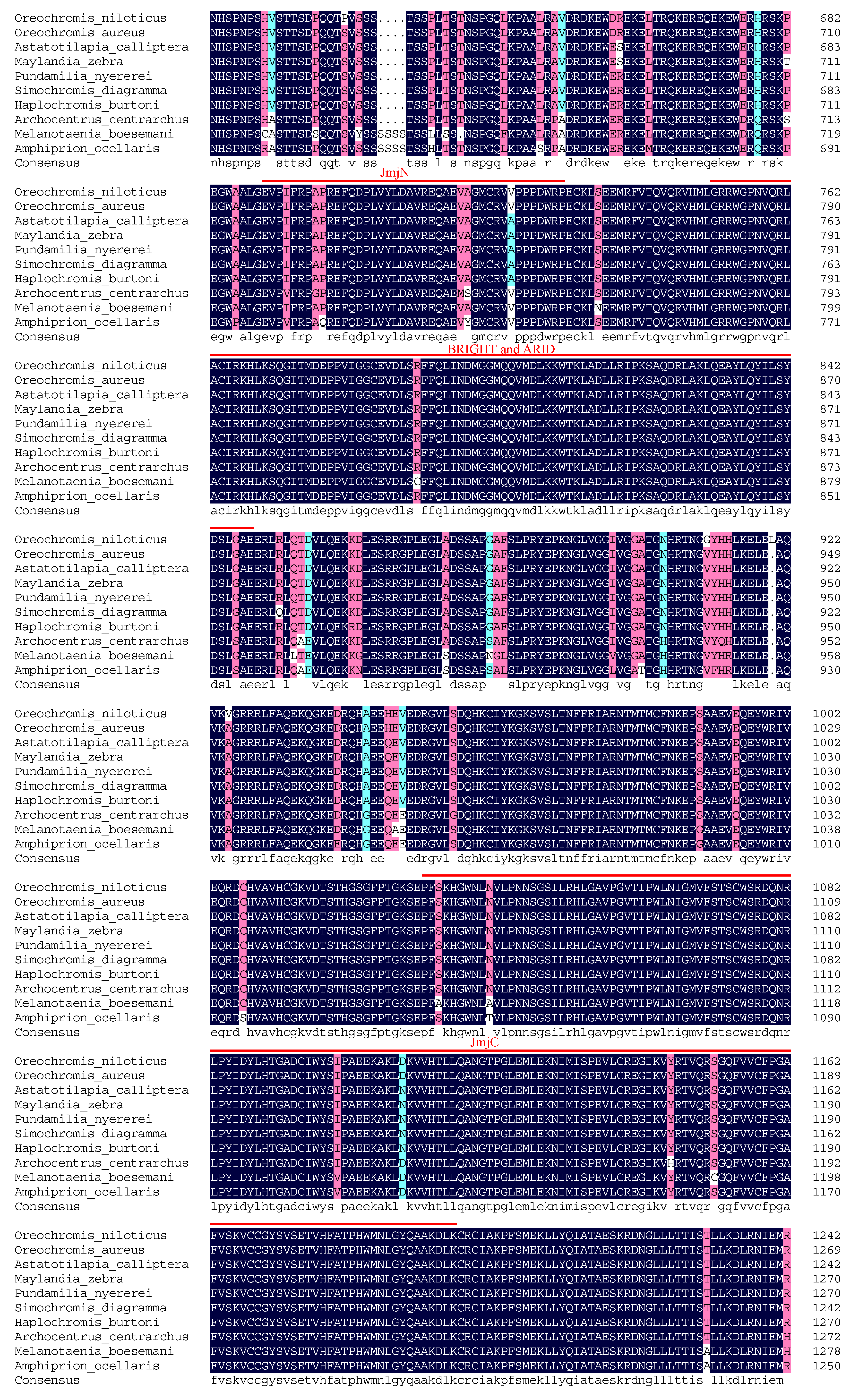 Genes 13 01719 g002b