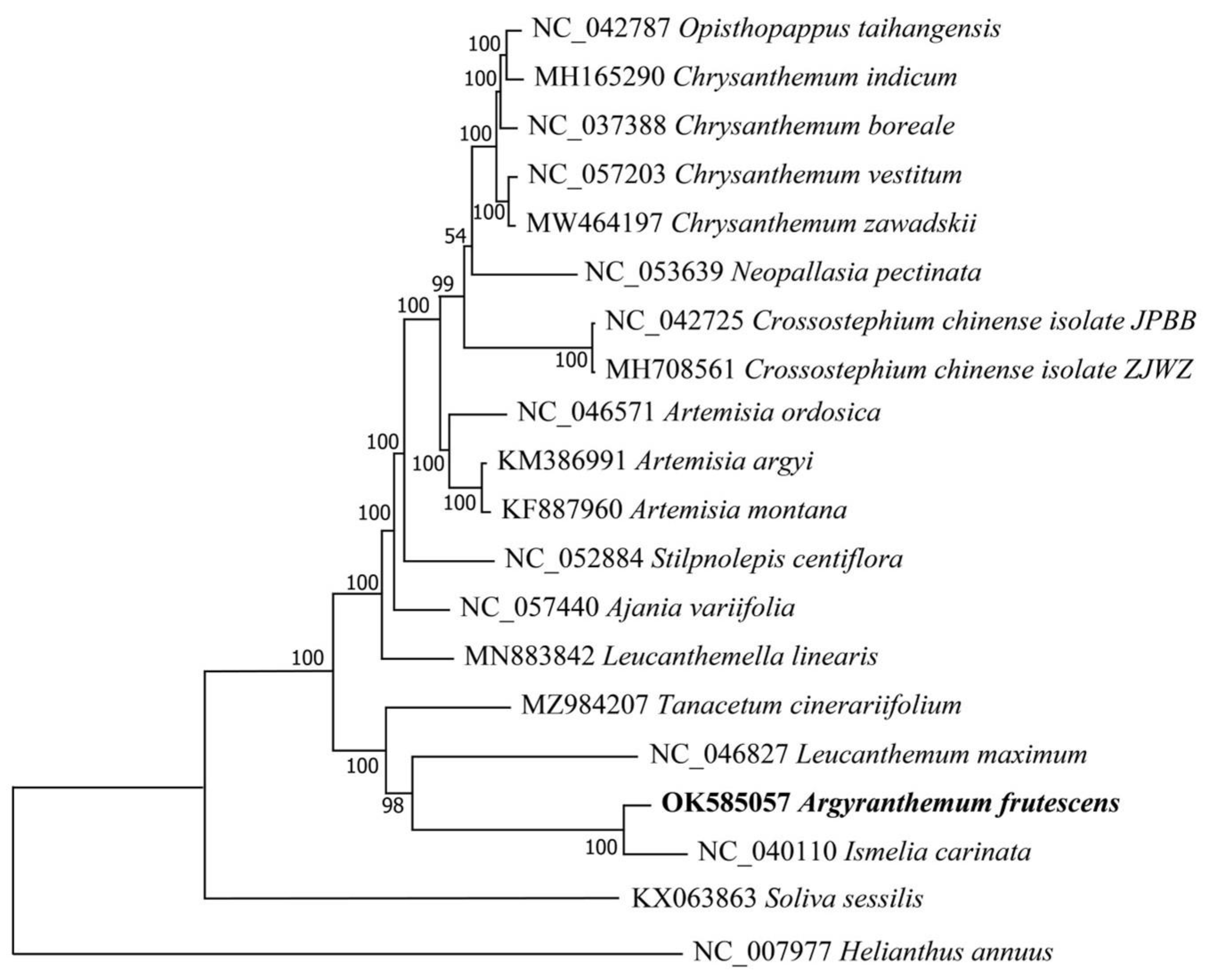 Genes 13 01720 g005 Genes 13 01720 g005
