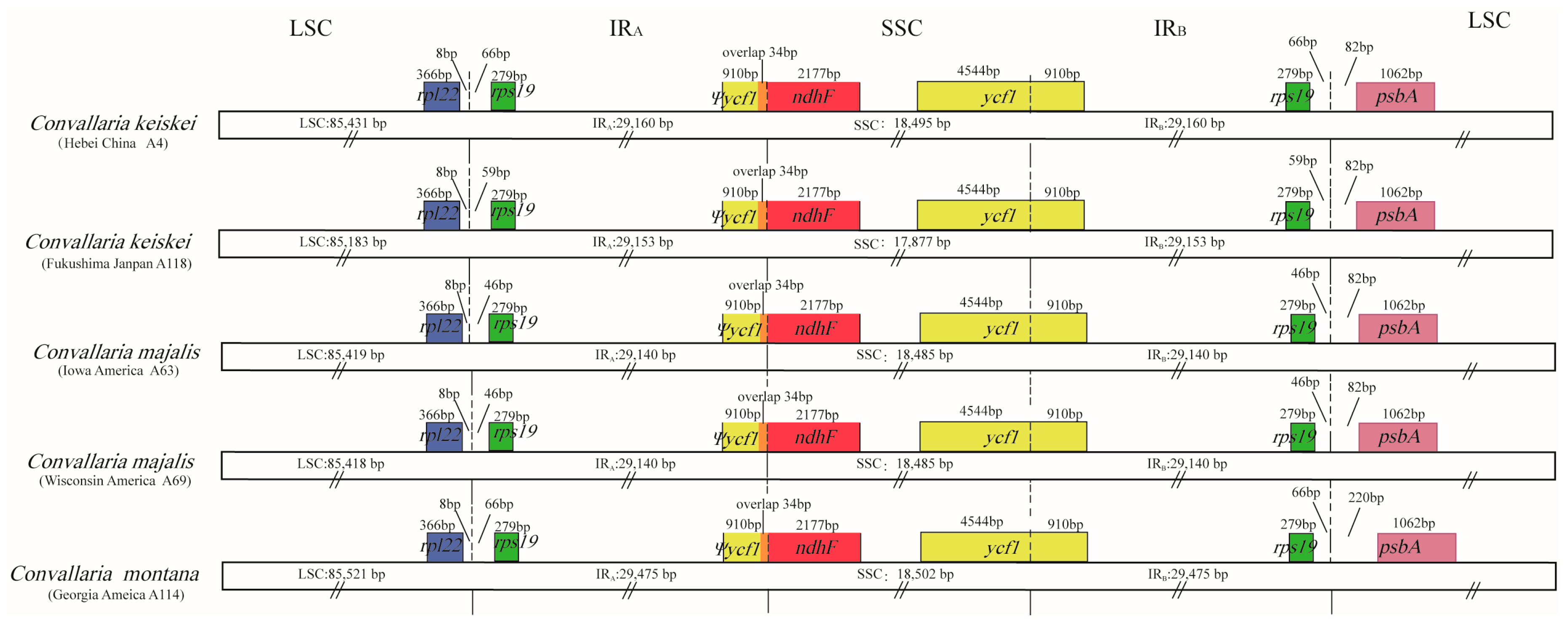 Genes 13 01724 g002 Genes 13 01724 g002