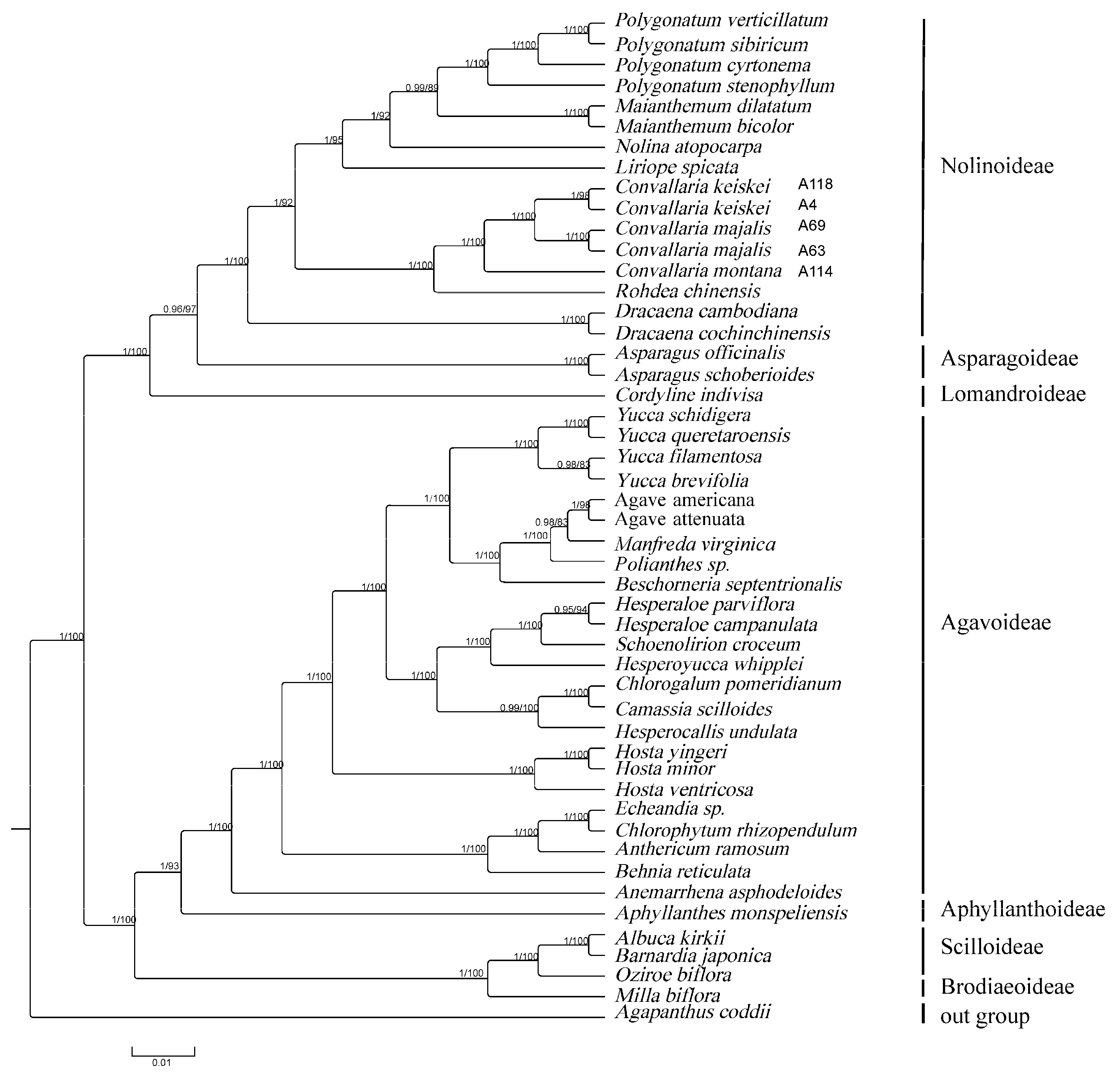 Genes 13 01724 g007 Genes 13 01724 g007