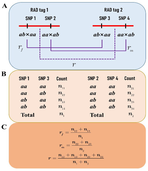 Genes, Free Full-Text