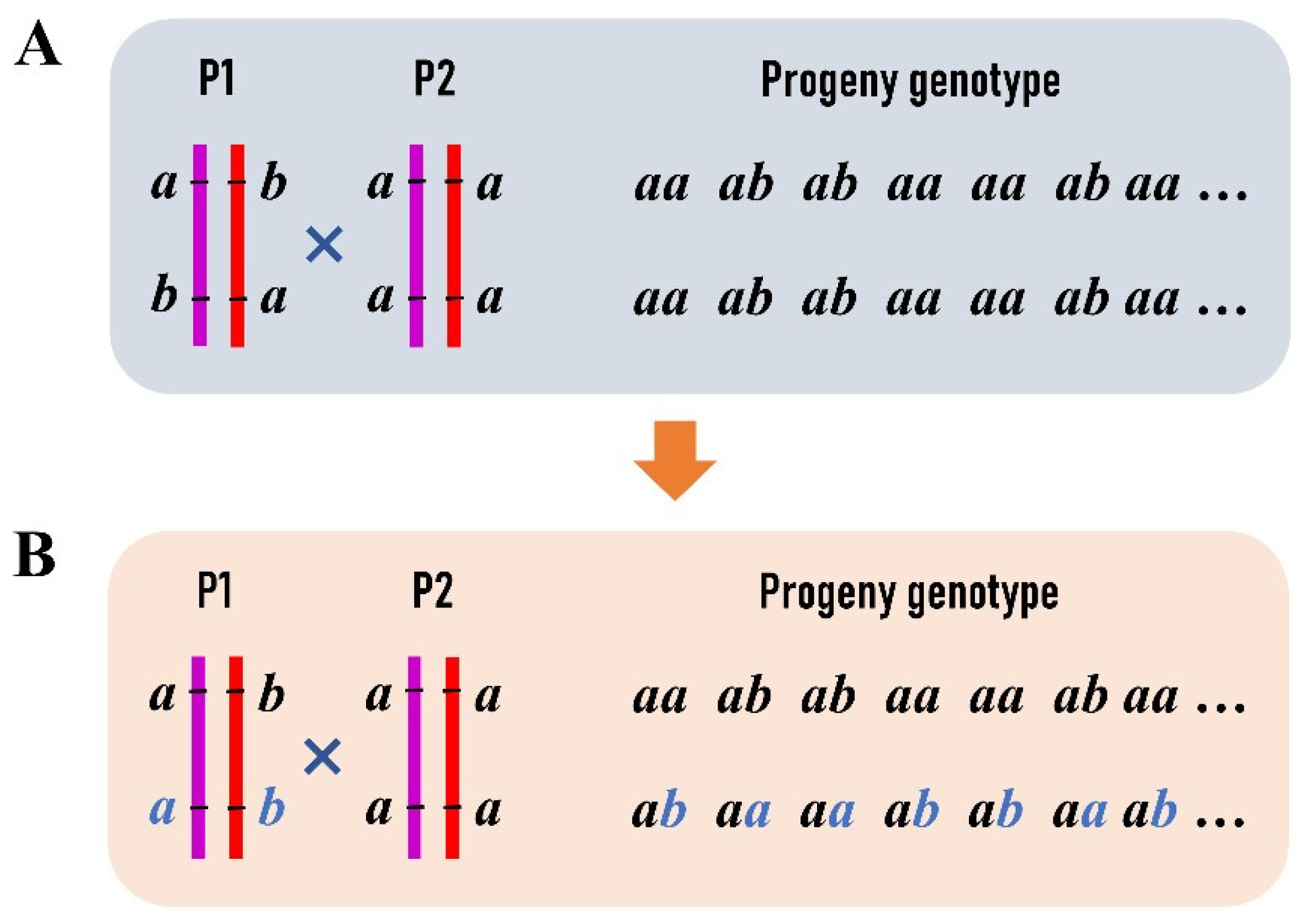 Genes 13 01731 g002
