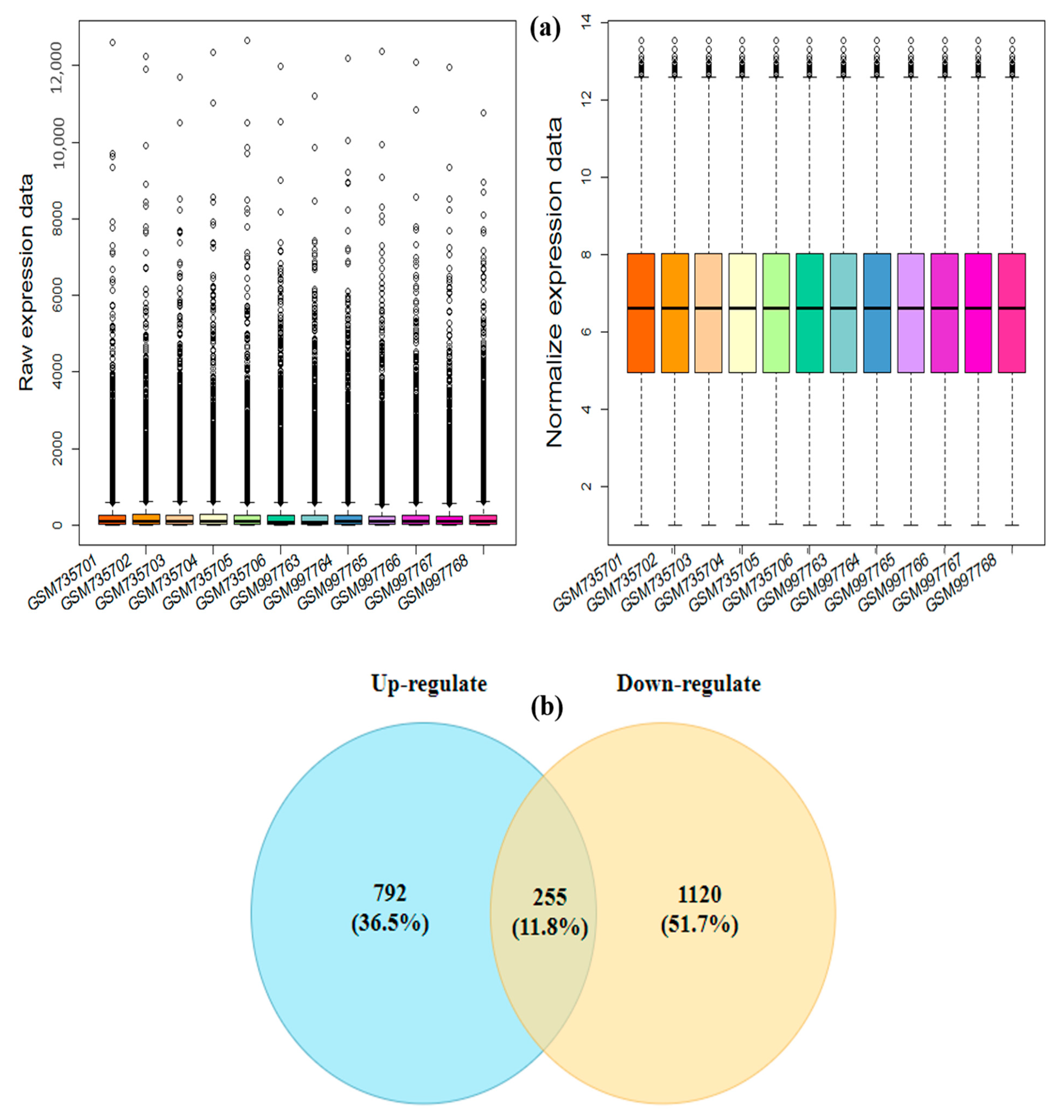 Genes 13 01732 g002