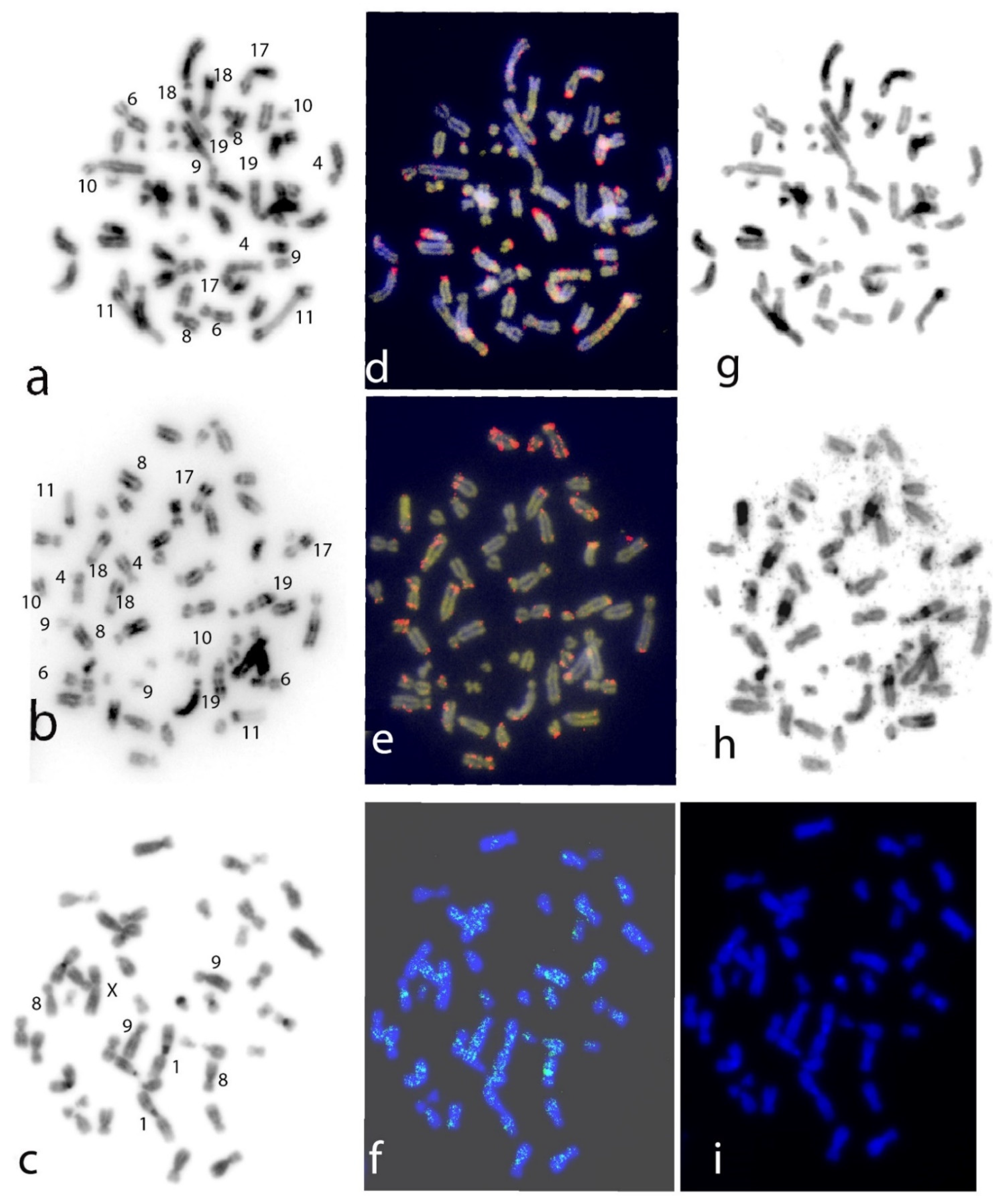 Genes 13 01742 g001 Genes 13 01742 g001