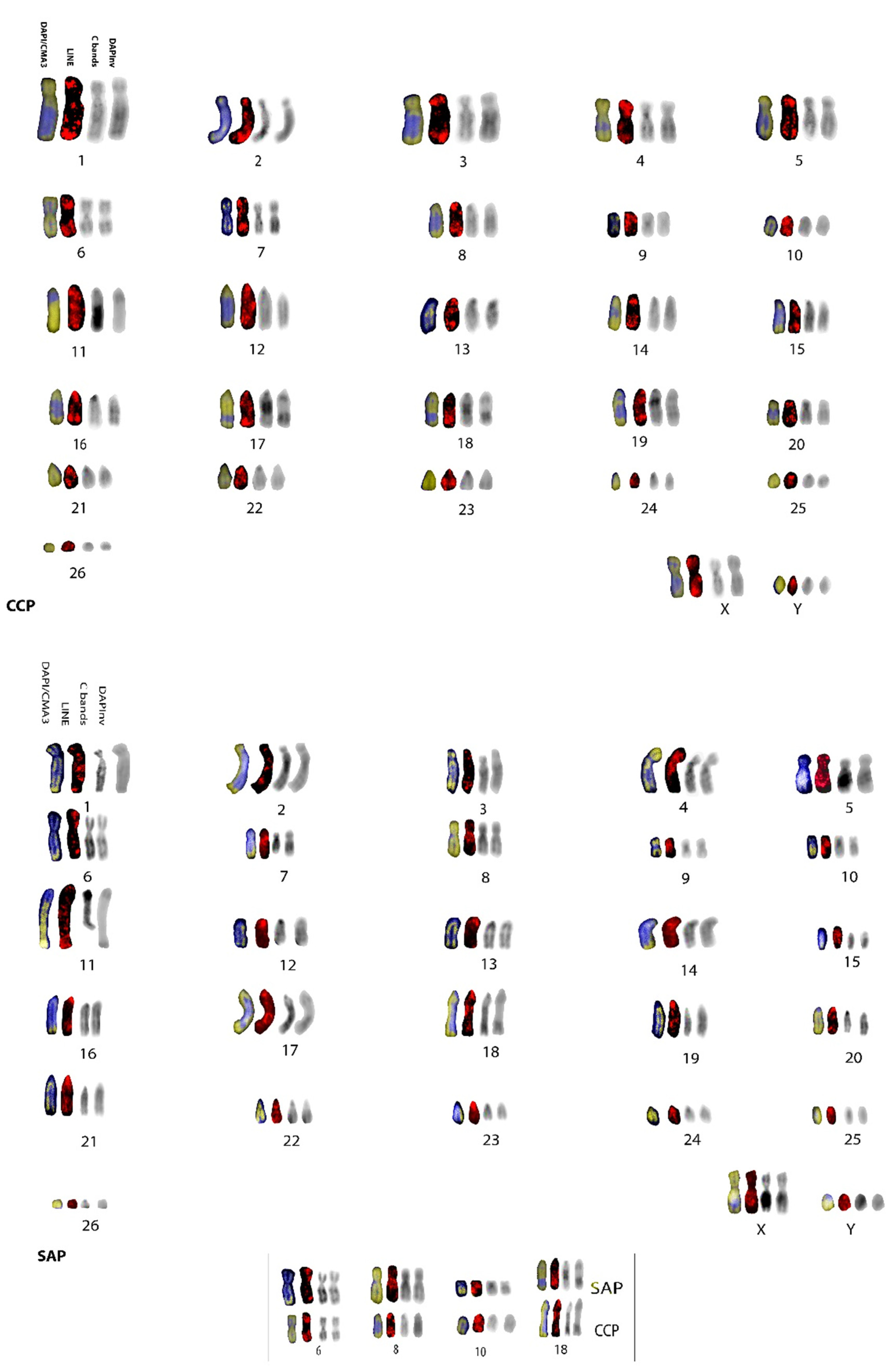 Genes 13 01742 g002 Genes 13 01742 g002