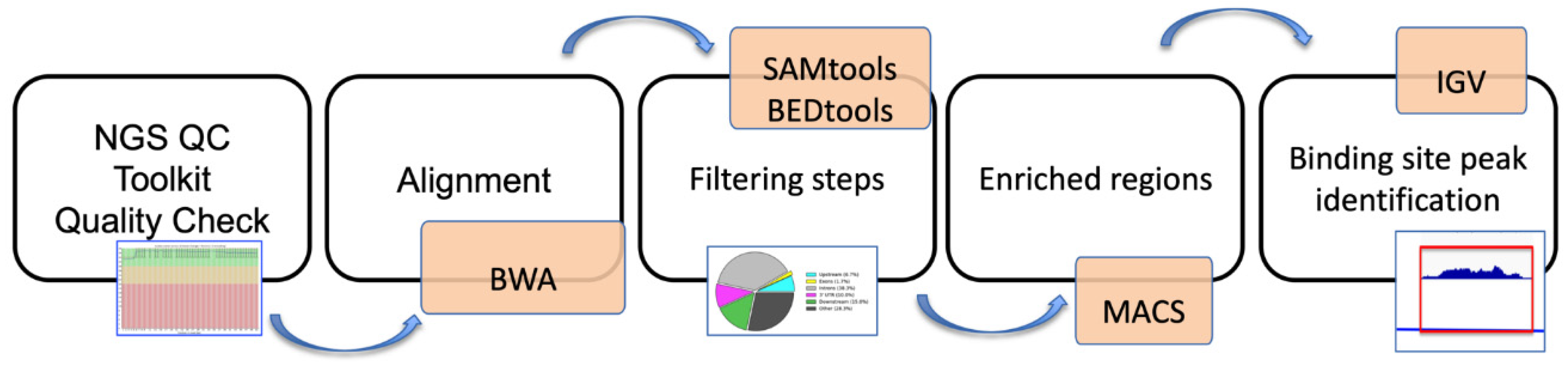 Genes 13 01745 g001 Genes 13 01745 g001