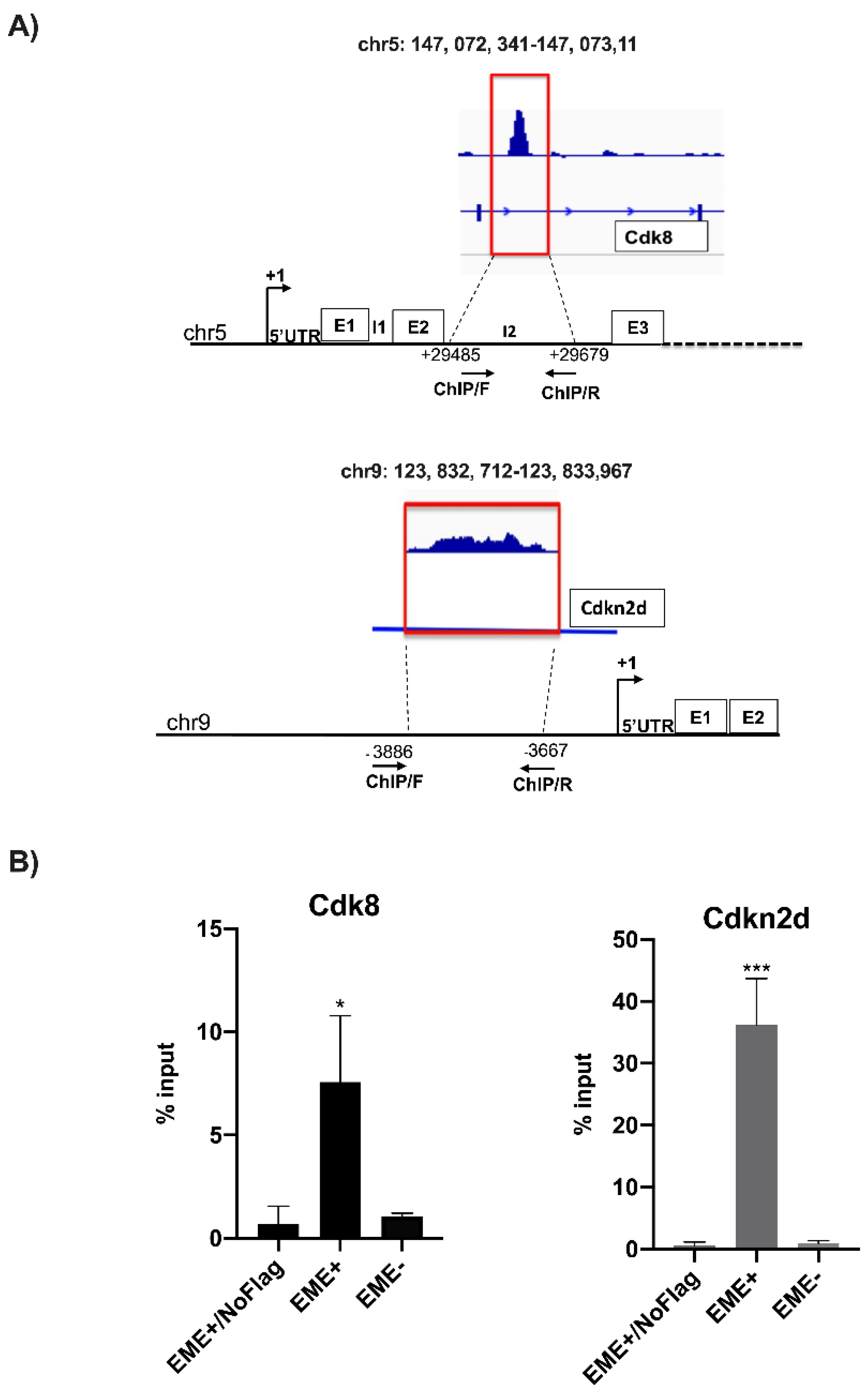 Genes 13 01745 g003 Genes 13 01745 g003