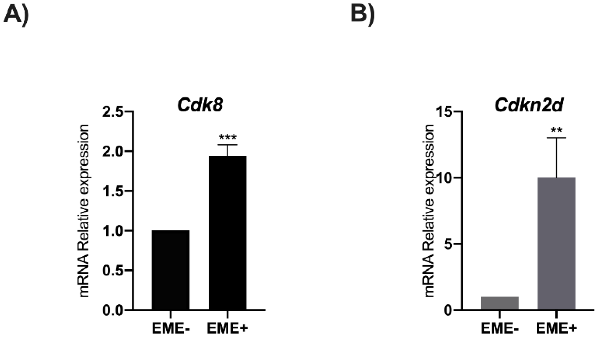Genes 13 01745 g004 Genes 13 01745 g004