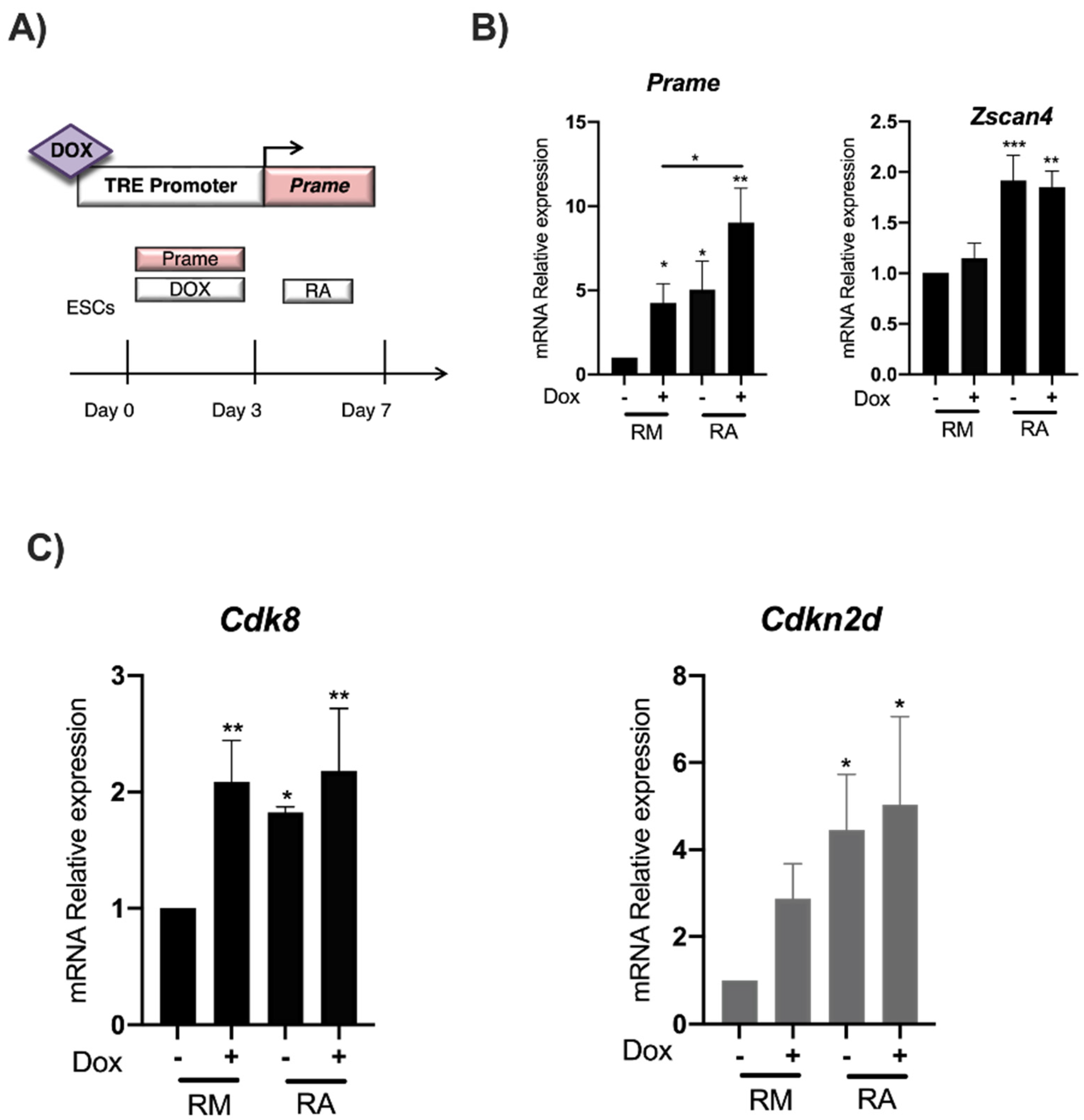 Genes 13 01745 g005 Genes 13 01745 g005