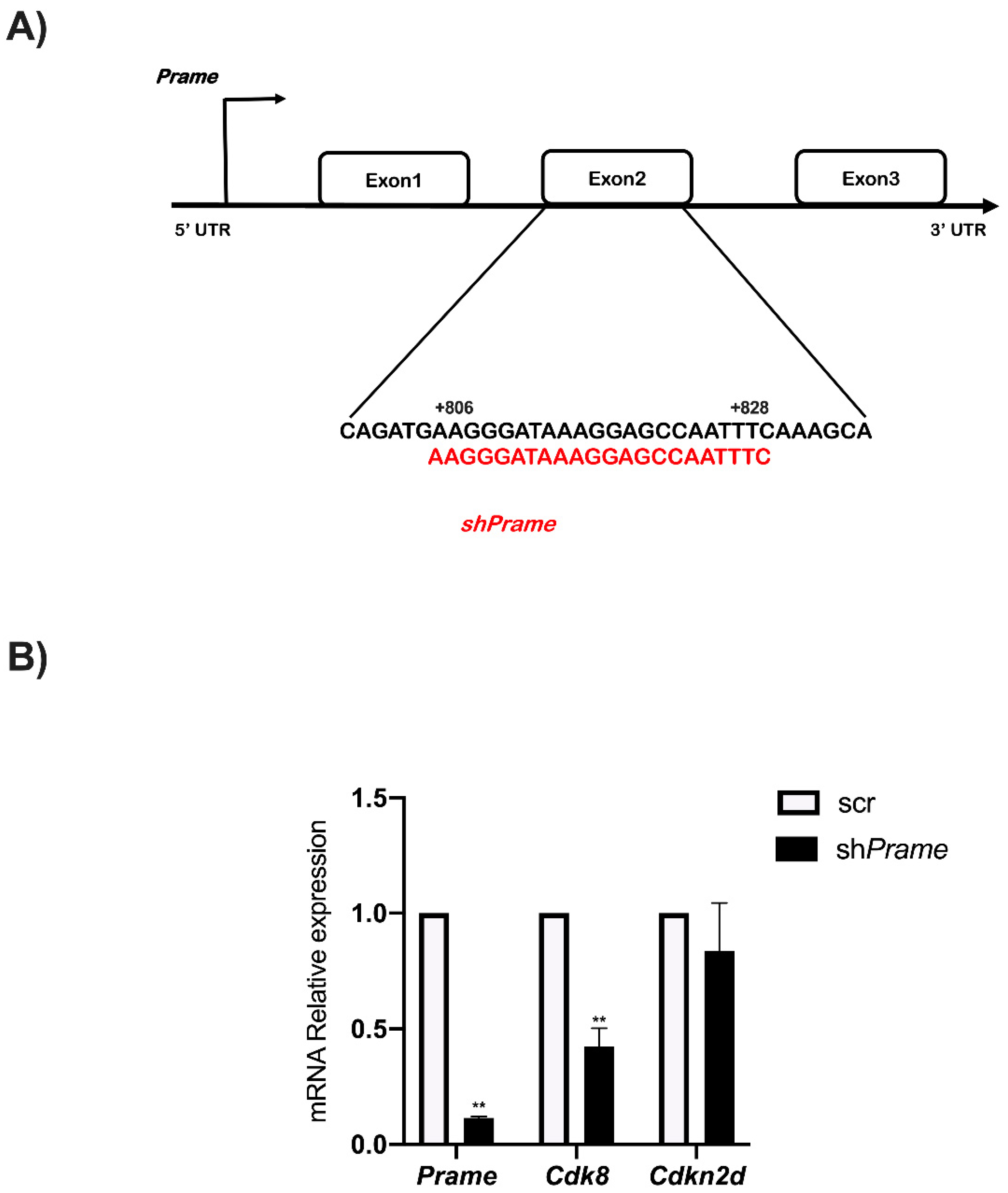 Genes 13 01745 g006 Genes 13 01745 g006