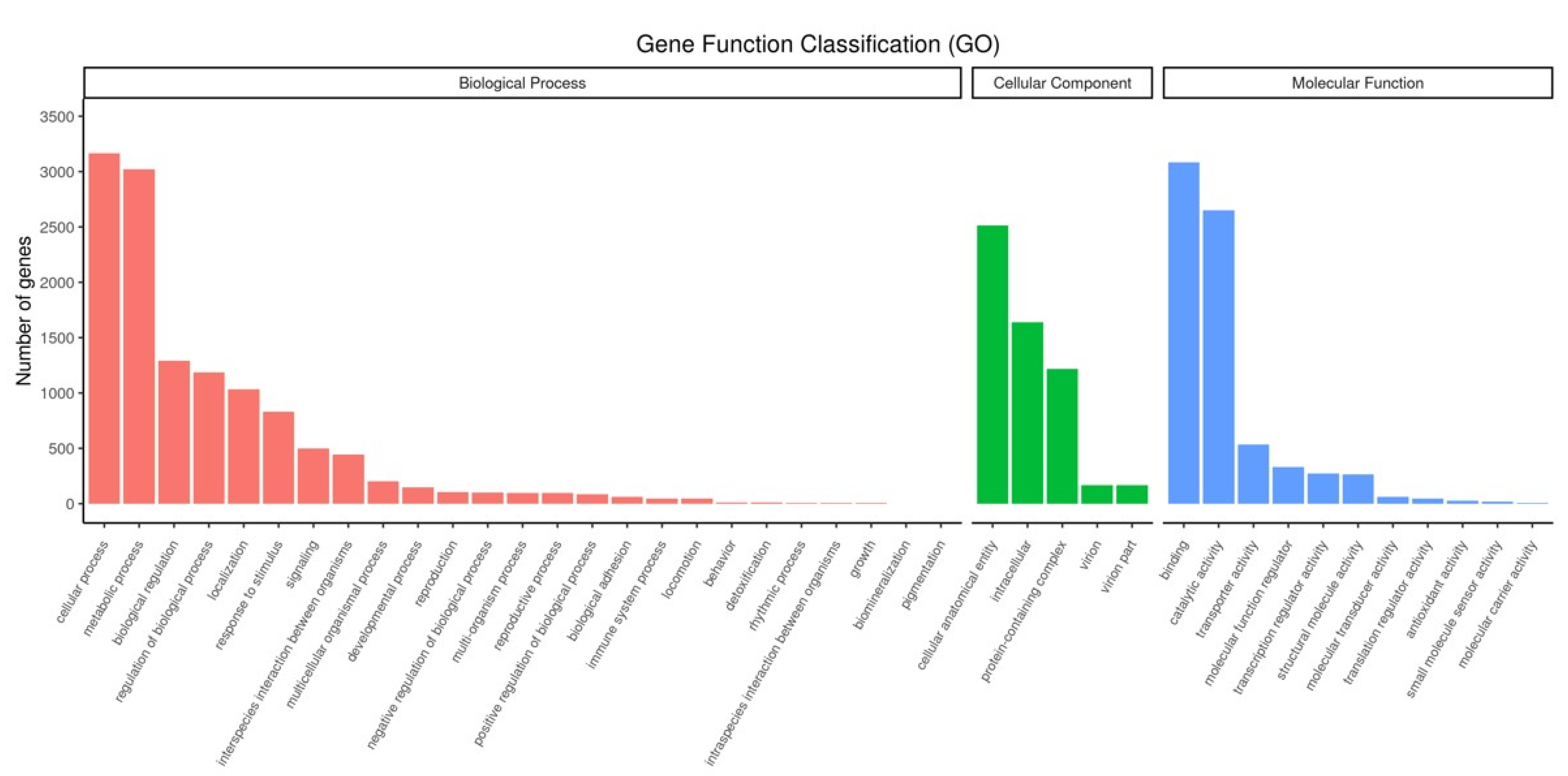 Genes 13 01747 g003 Genes 13 01747 g003