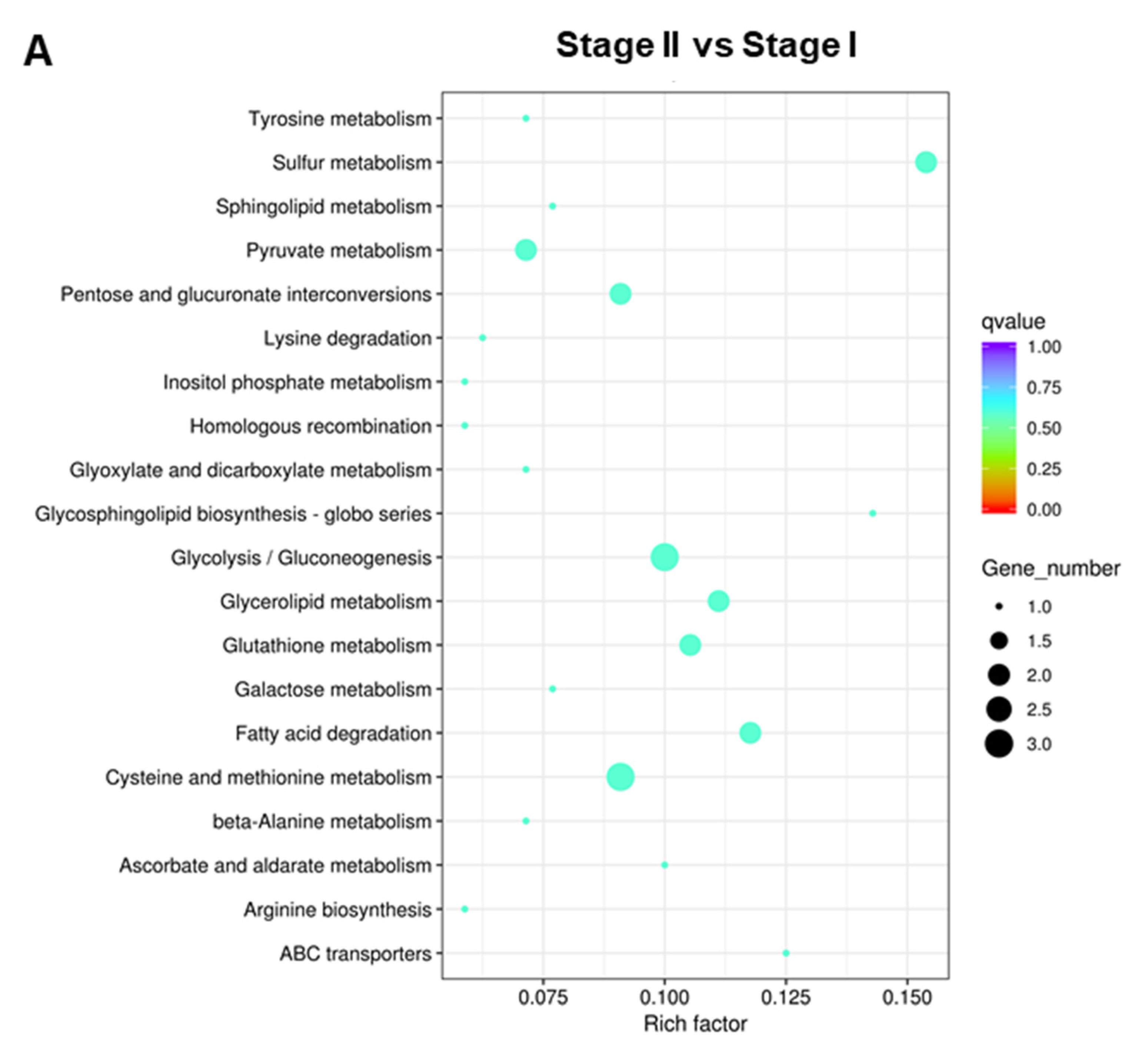 Genes 13 01747 g007a Genes 13 01747 g007a