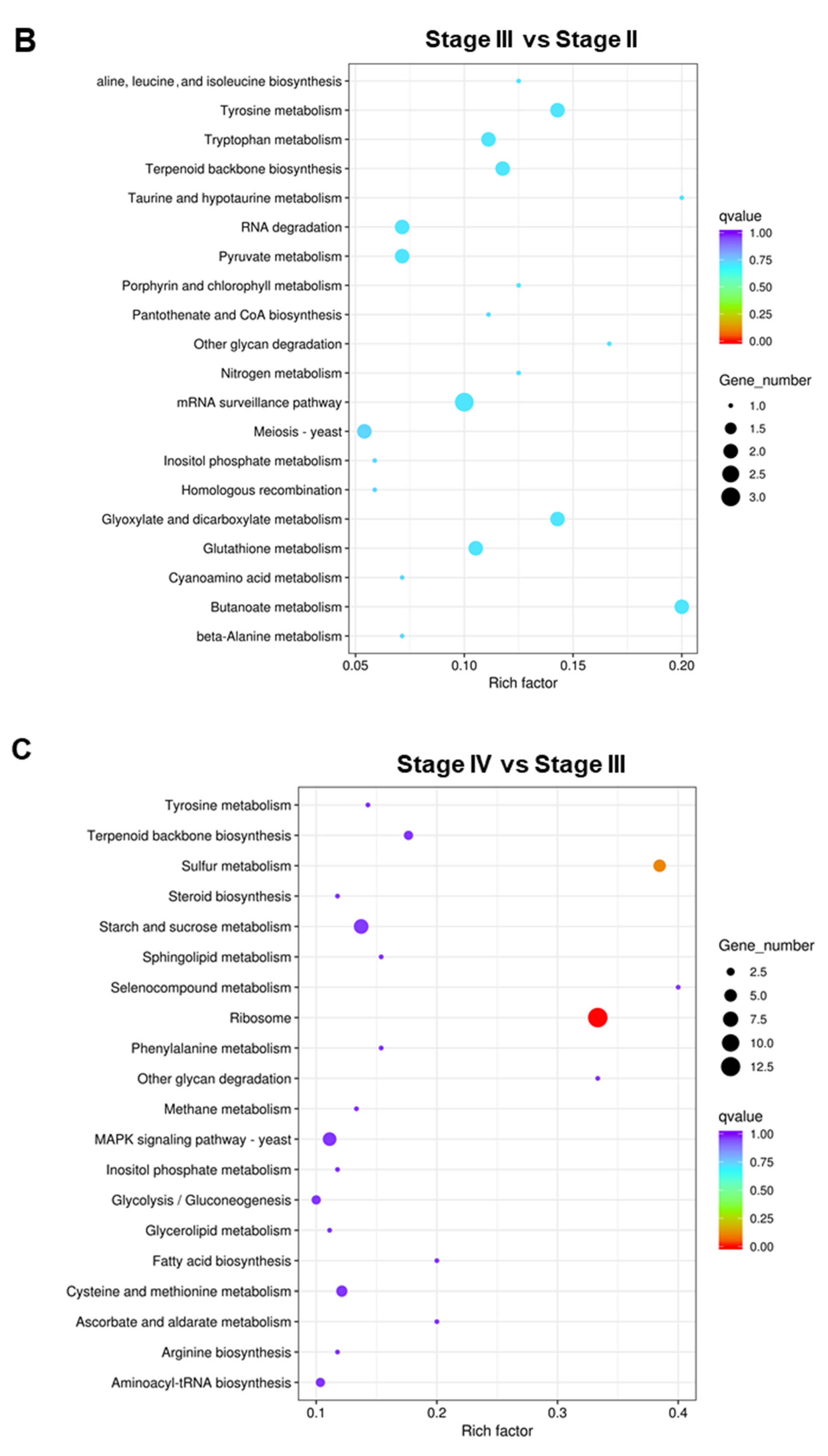 Genes 13 01747 g007b Genes 13 01747 g007b