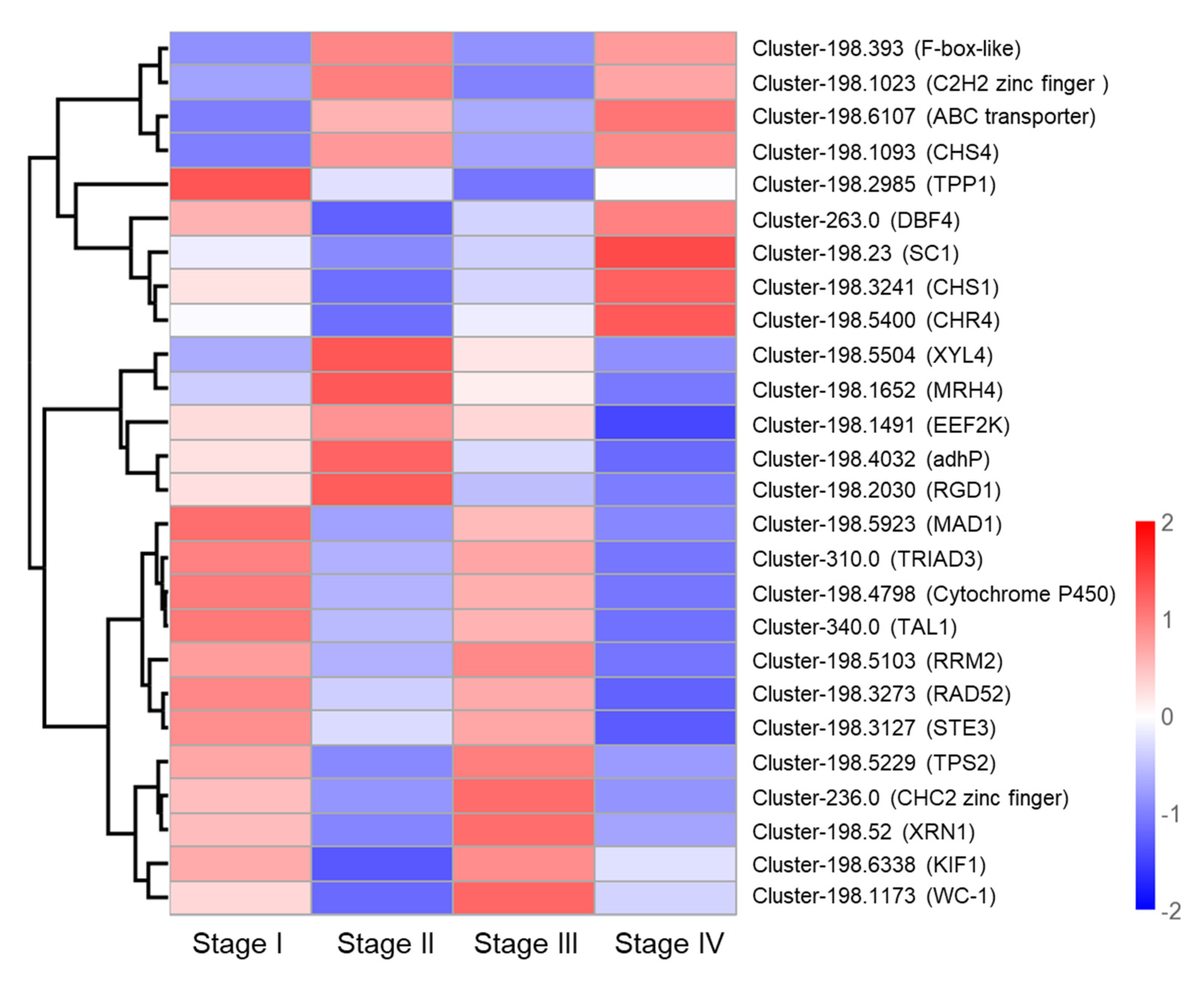 Genes 13 01747 g008 Genes 13 01747 g008