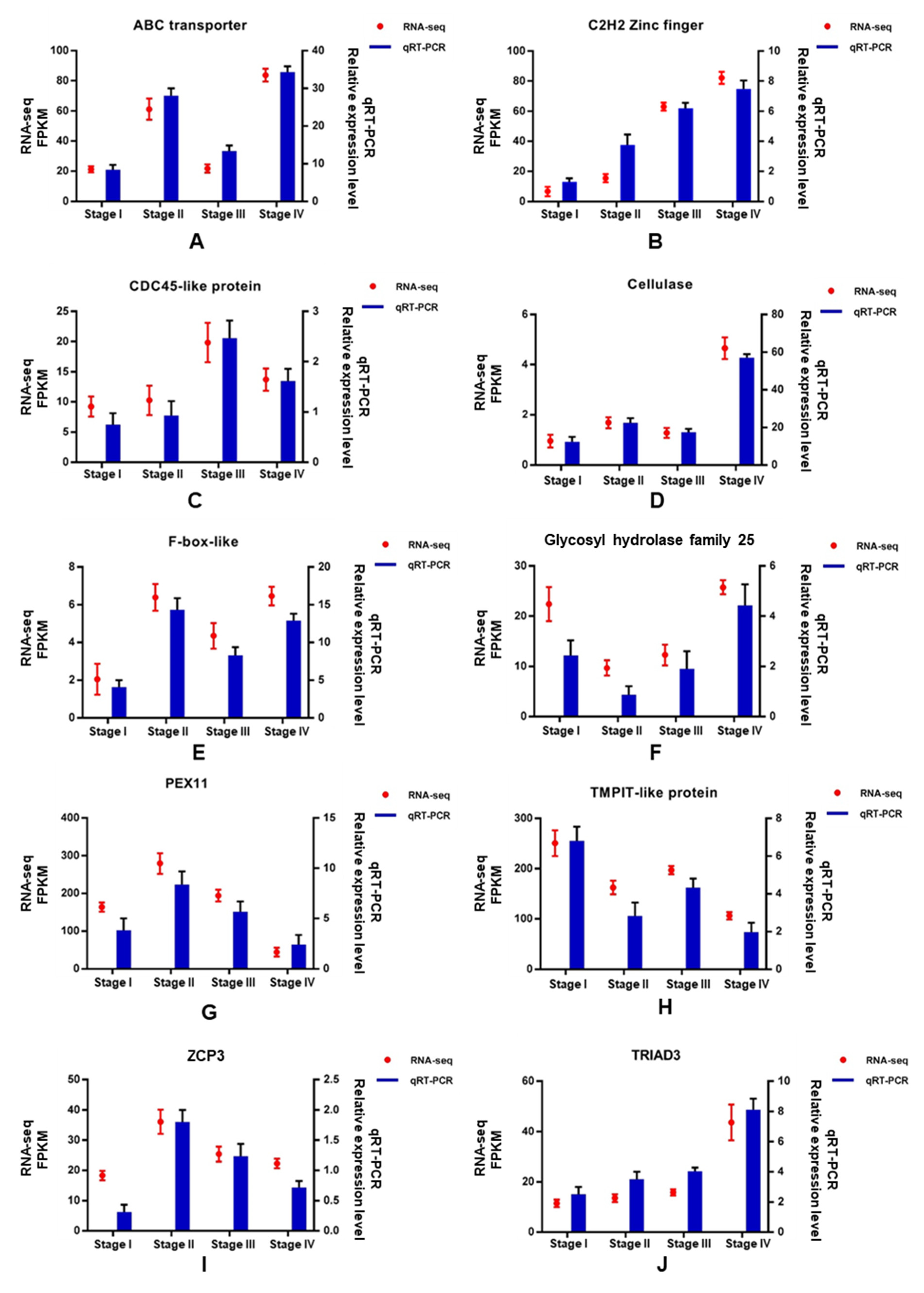 Genes 13 01747 g009 Genes 13 01747 g009
