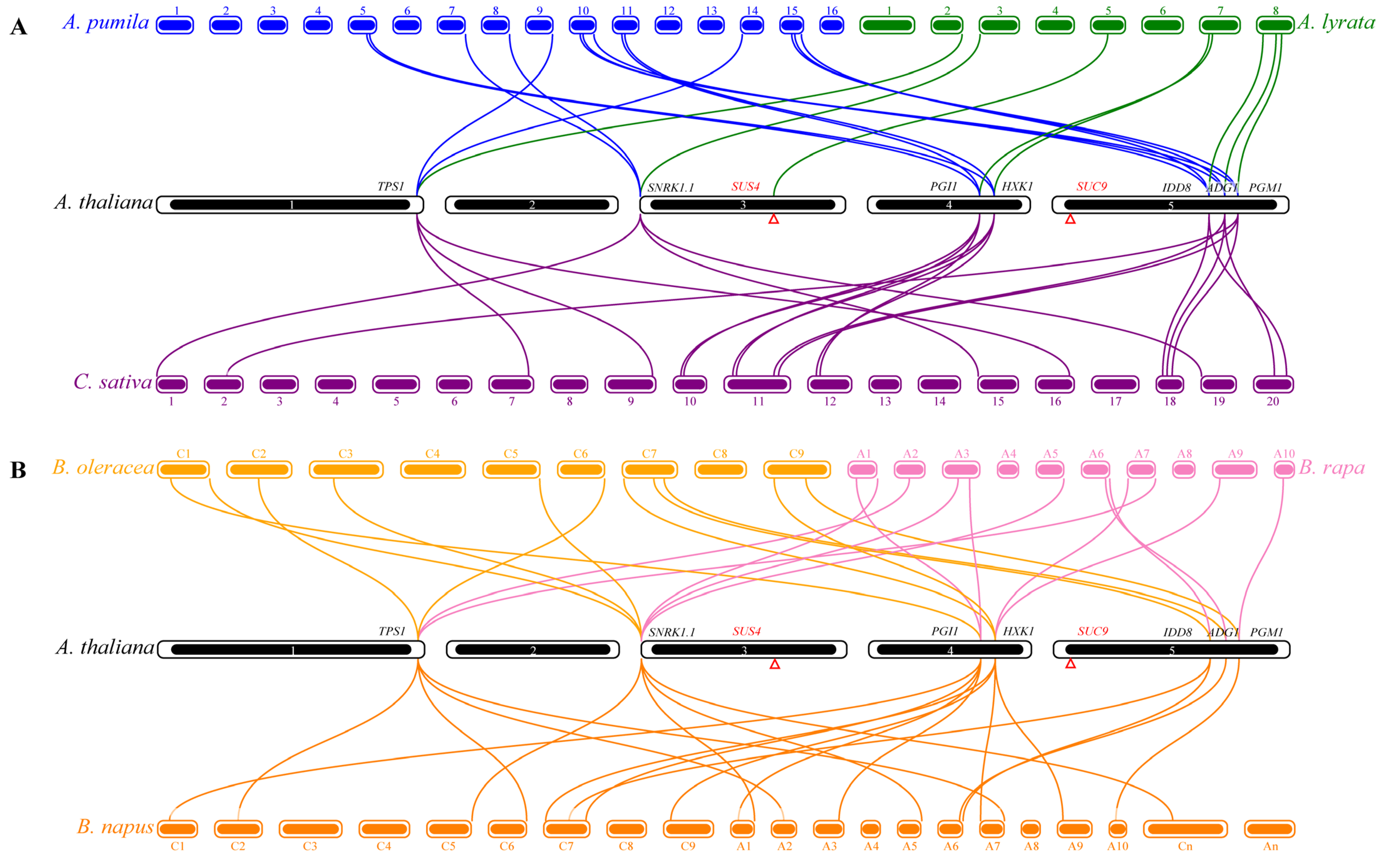 Genes 13 01749 g003 Genes 13 01749 g003