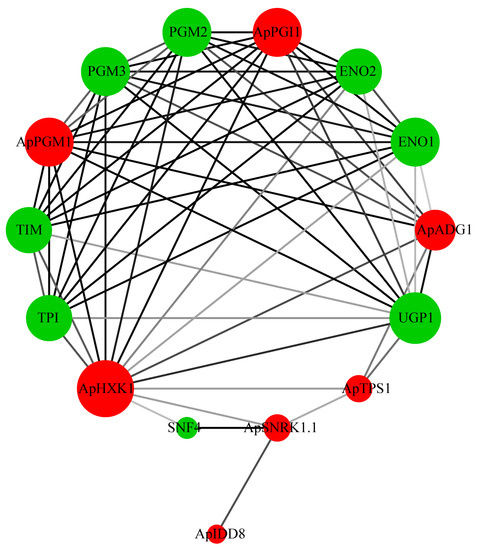 Comparative Analysis on the Evolution of Flowering Genes in Sugar ...