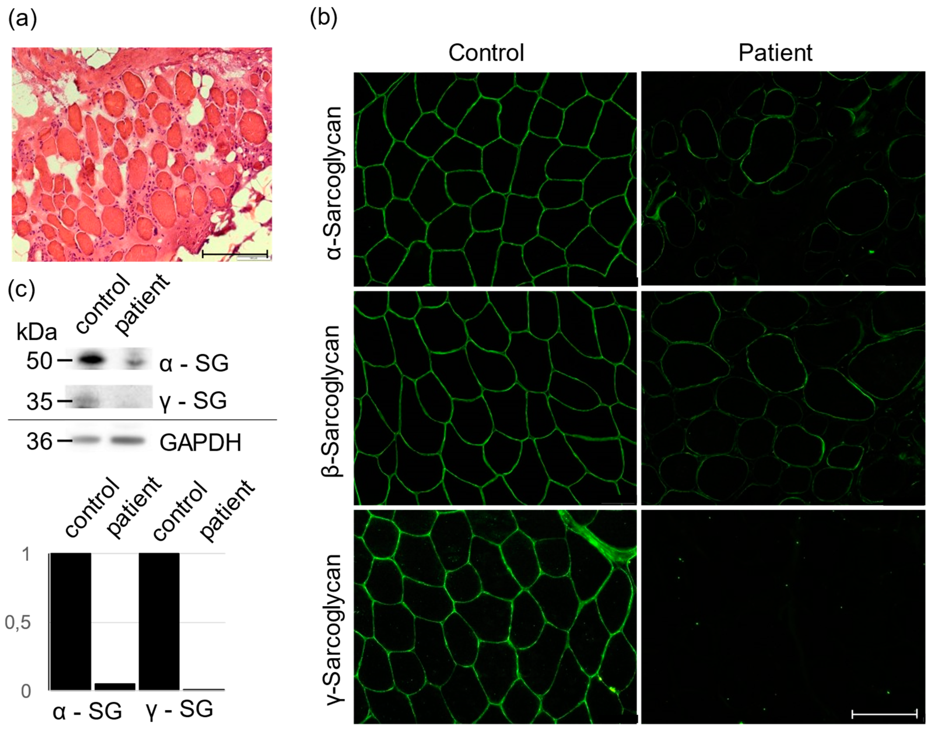 Genes 13 01752 g001 Genes 13 01752 g001