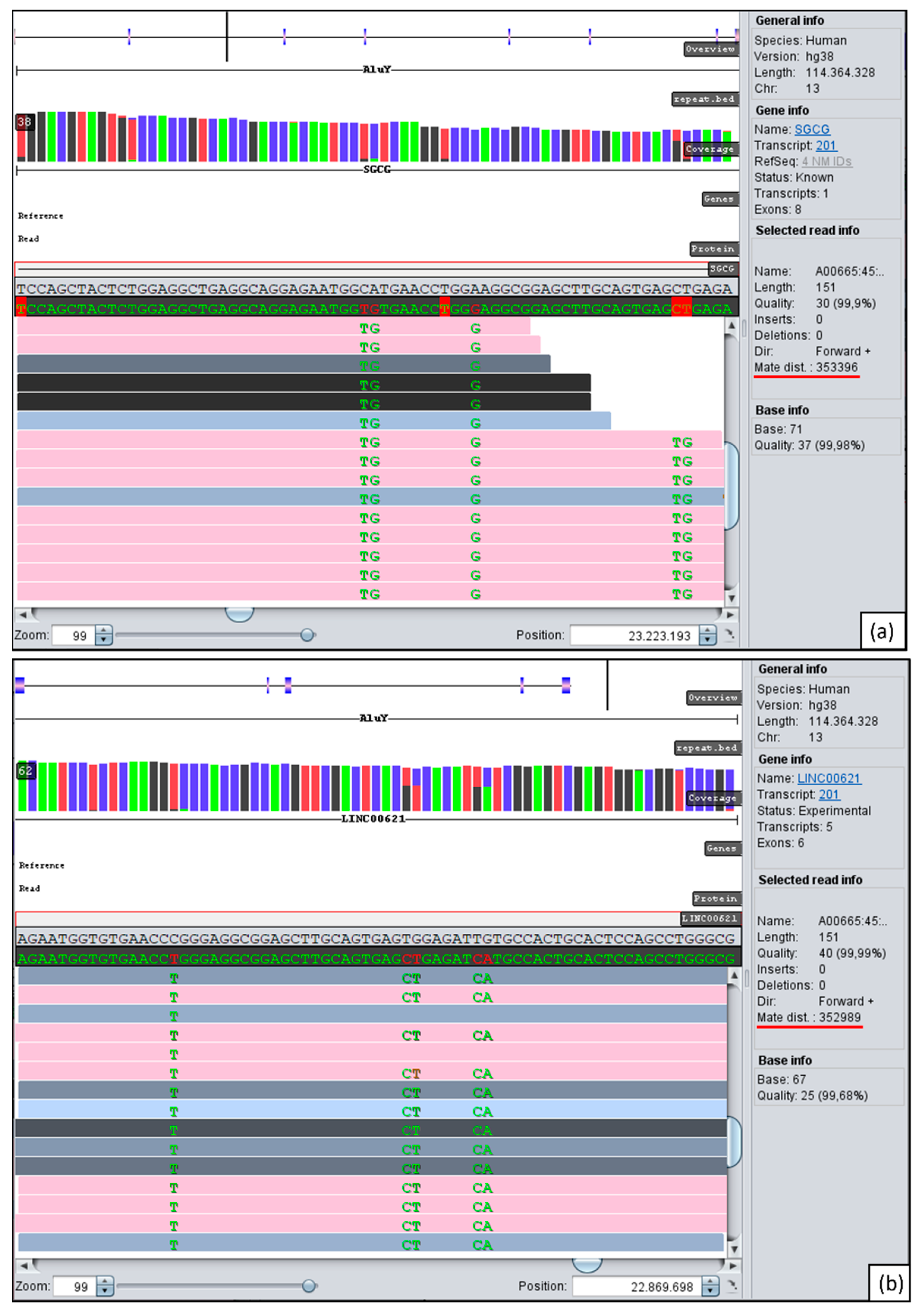 Genes 13 01752 g003 Genes 13 01752 g003