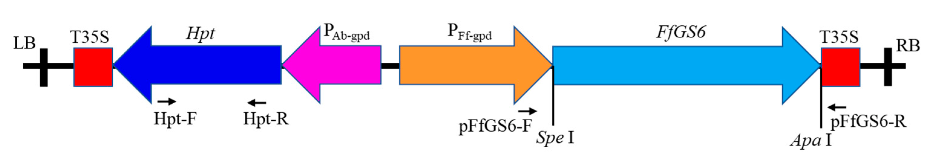 Genes 13 01753 g001 Genes 13 01753 g001