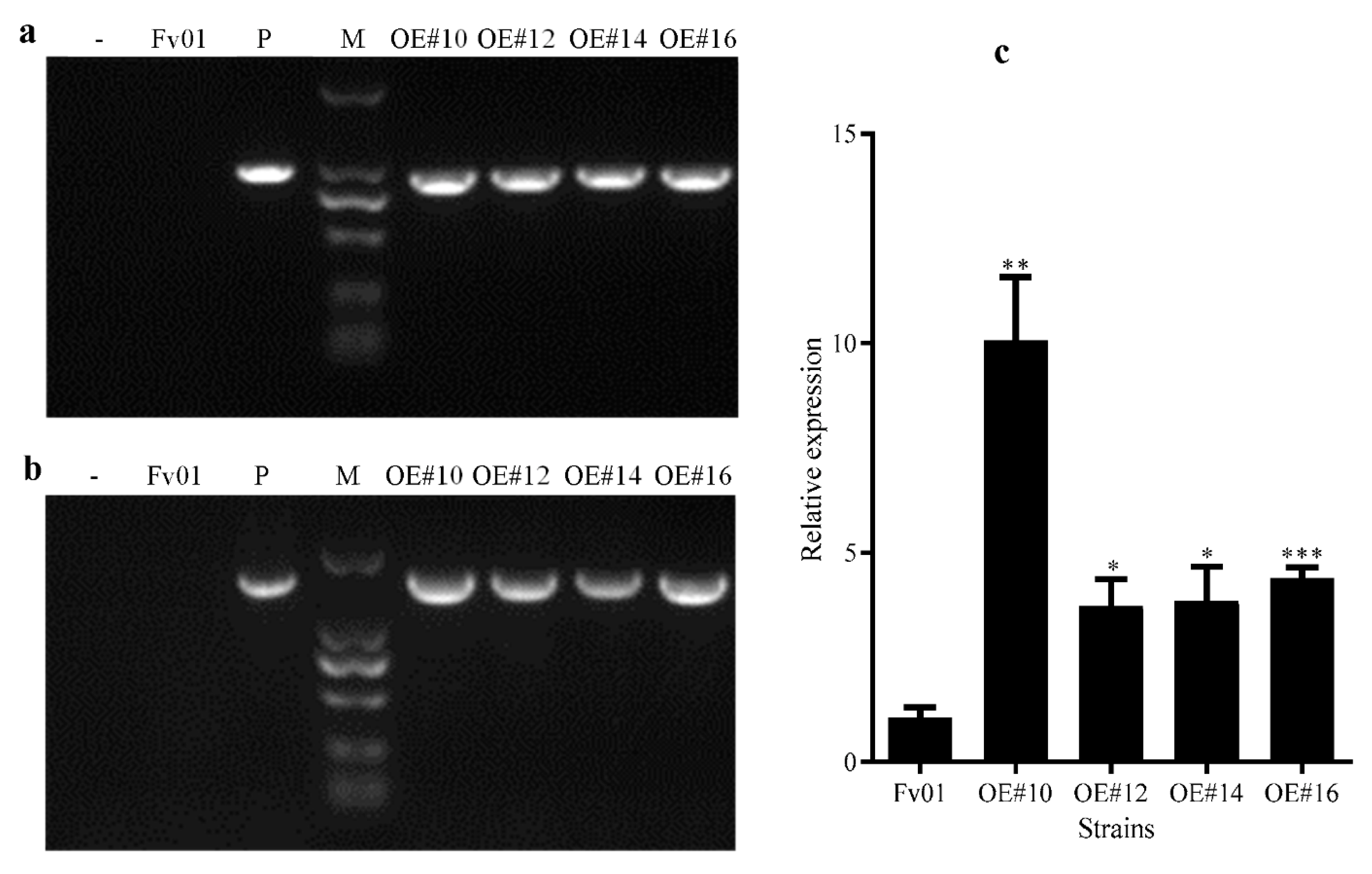 Genes 13 01753 g002 Genes 13 01753 g002
