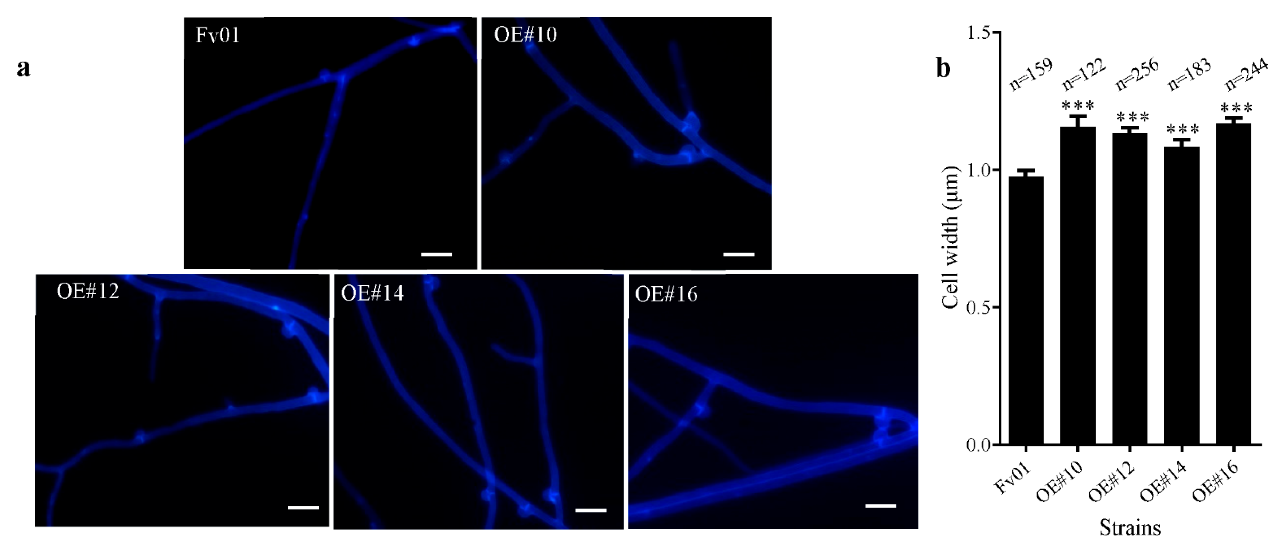 Genes 13 01753 g003 Genes 13 01753 g003