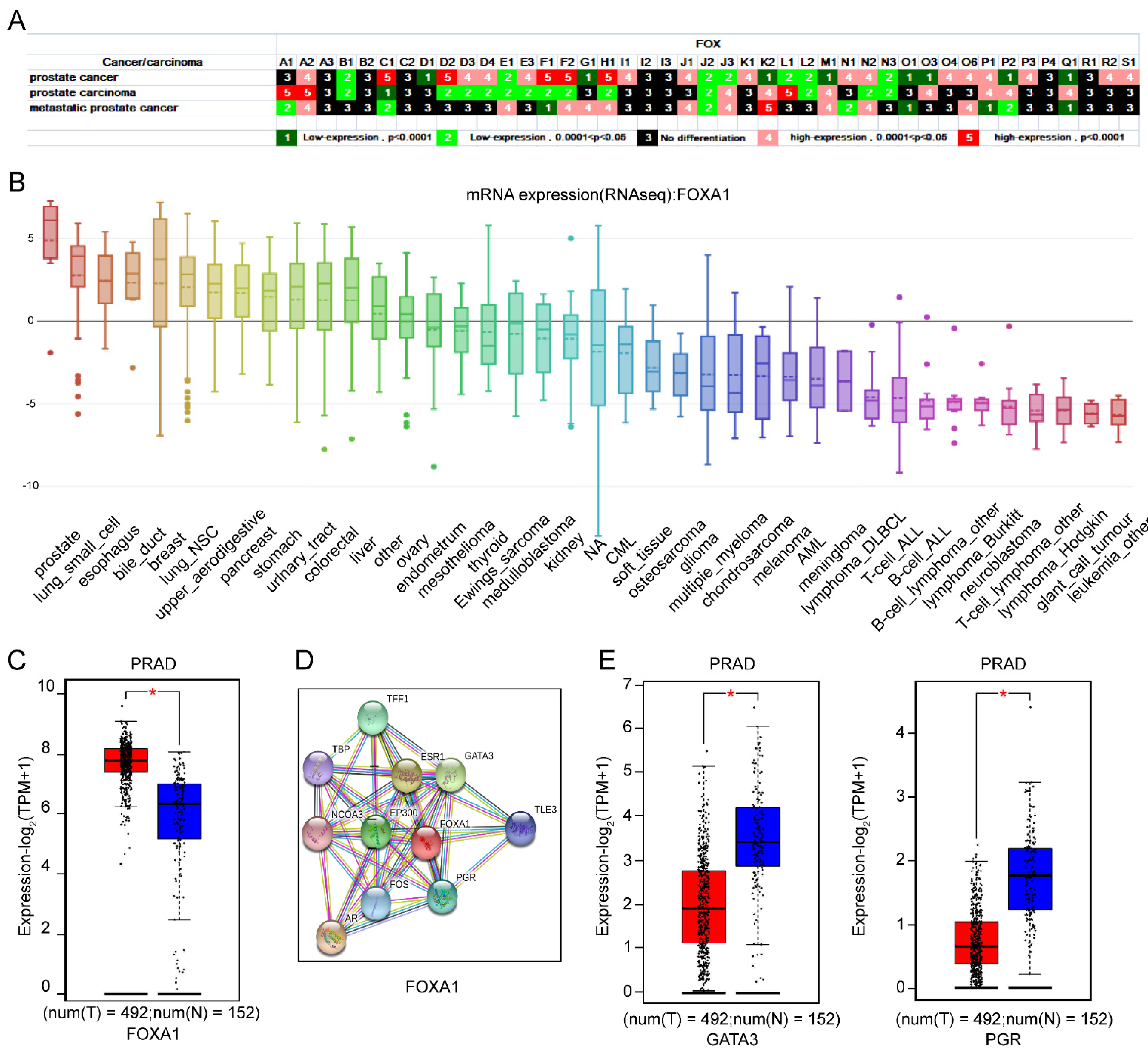 Genes 13 01754 g004 Genes 13 01754 g004