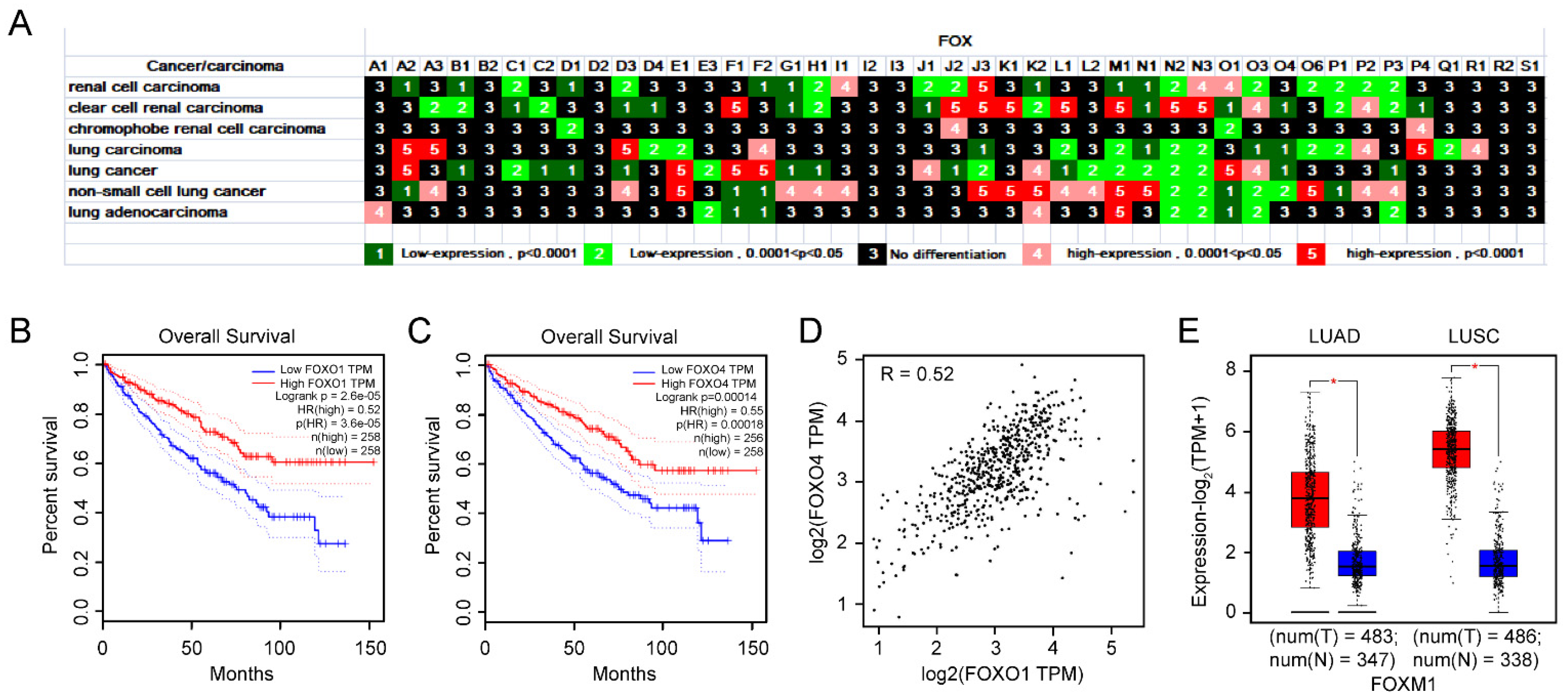 Genes 13 01754 g006 Genes 13 01754 g006