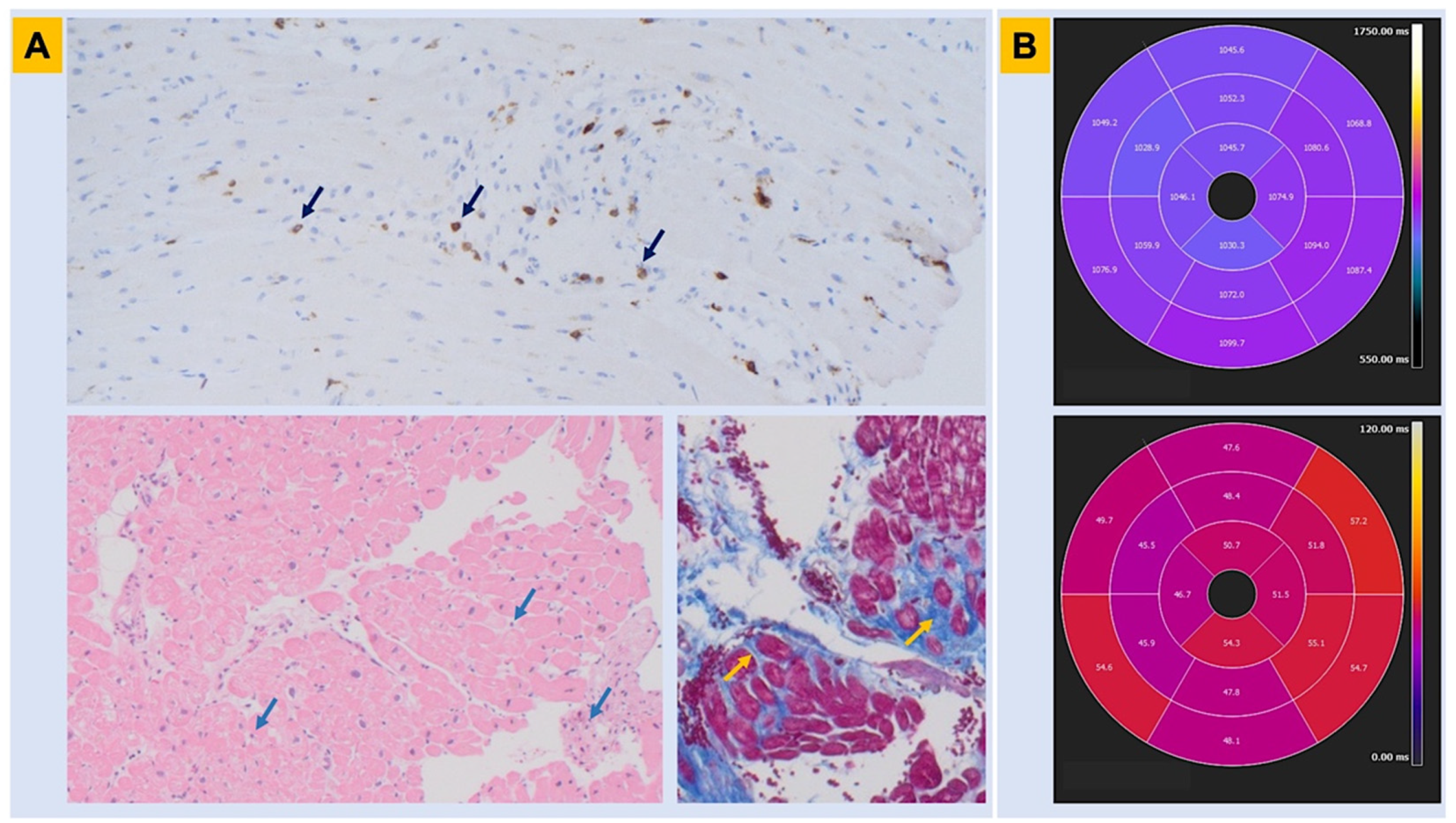 Genes 13 01755 g003 Genes 13 01755 g003